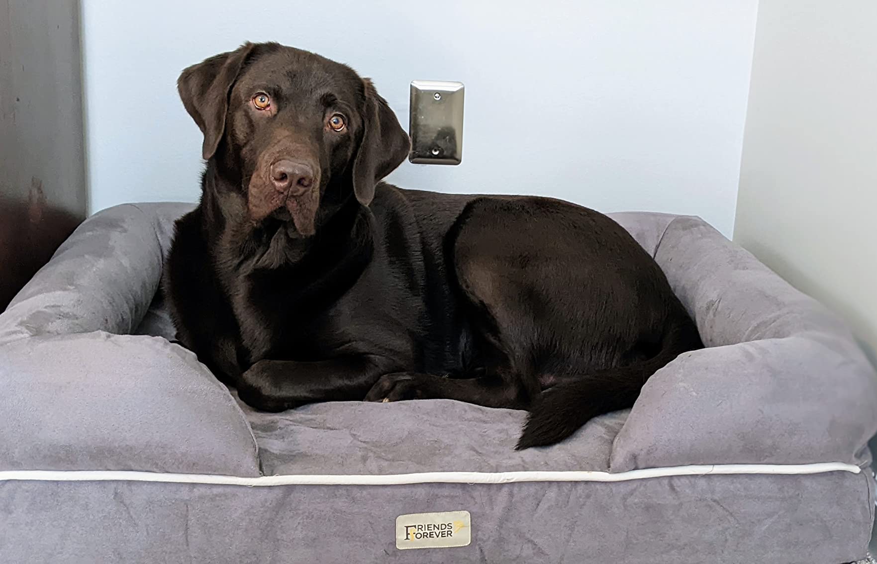 Friends Forever Large Dog Bed, Orthopedic Pet Sofa Memory Foam Mattress, Calming Dog Couch, Wall Rim Pillow, Water Resistant Liner, Washable Cover, Non-Slip Bottom, Chester, Large Grey customer photo 1