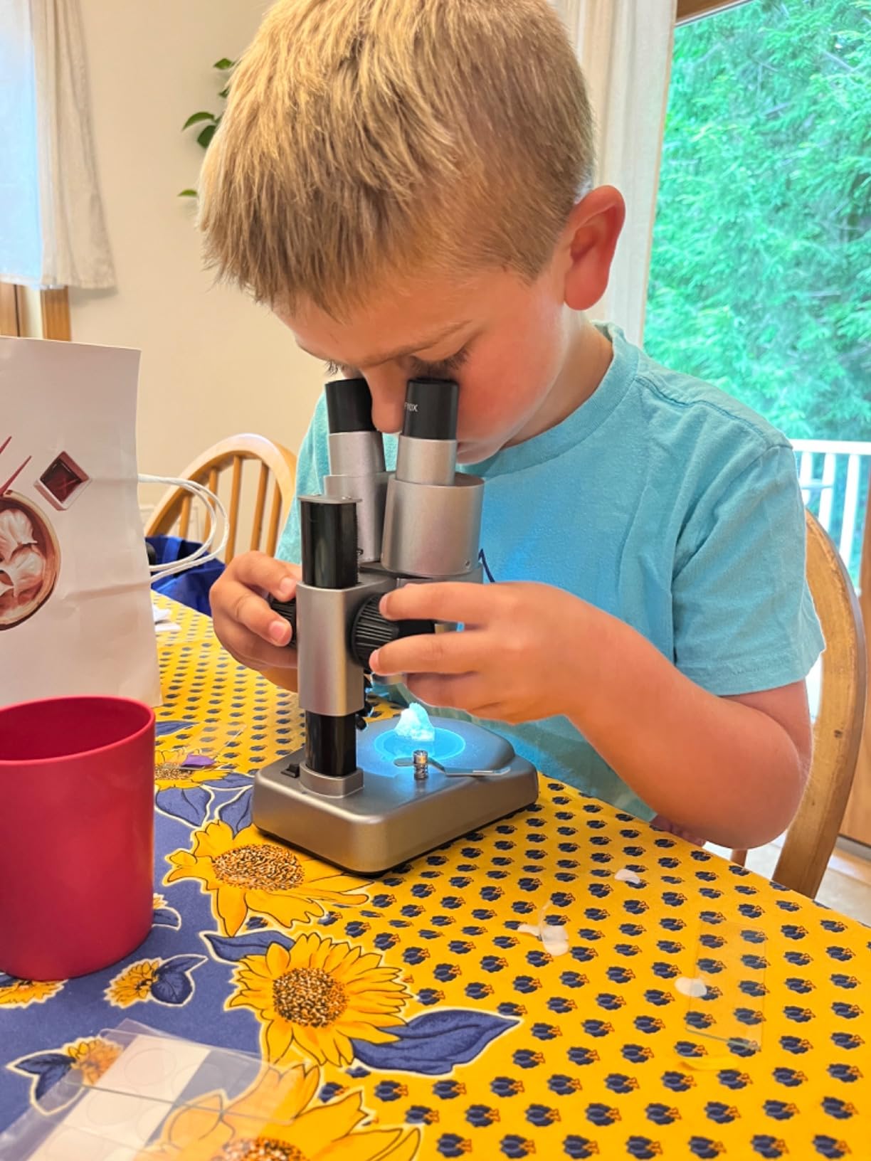National Geographic Dual LED Kids Microscope - 50+ pc Science Kit with 10 Prepared Slides & 10 DIY Blank Slides, Biology Experiment Activity, Microscope Kit for Kids 8-12 (Amazon Exclusive) customer photo 2