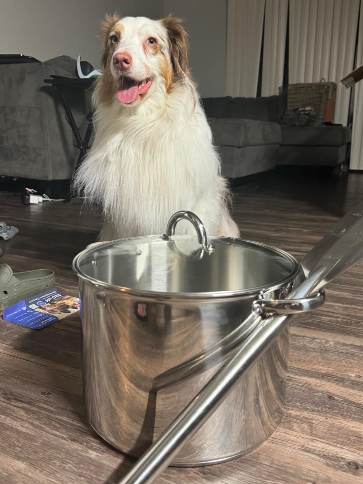 Cook N Home Basics 16 Quart Stainless Steel Stock Pot with Lid, Cooking Pot for Pasta, Soup, Sturdy Handle, Large Stockpot with Even Heating, Oven & Dishwasher Safe, Cookware for Canning, Boiling customer photo 1