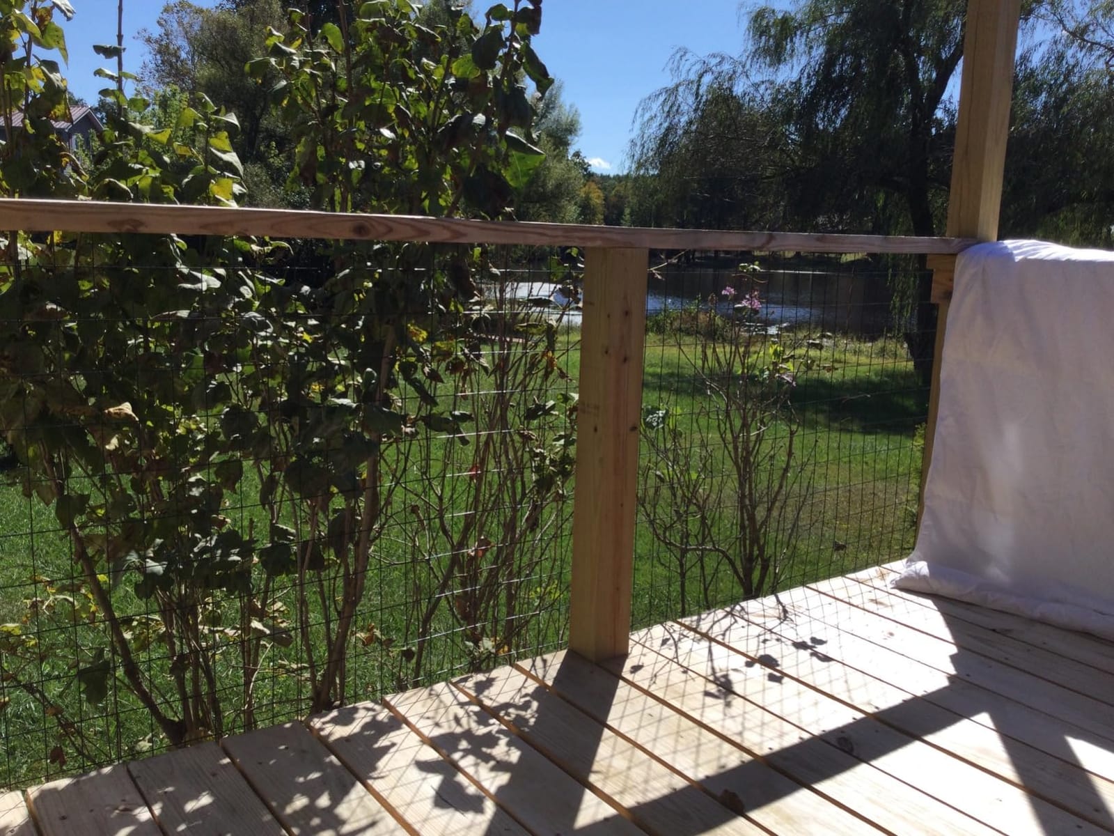 16GA Galvanized 48in x 50ft-3in x 2in Welded Wire Mesh Garden Economy Fence customer photo 1