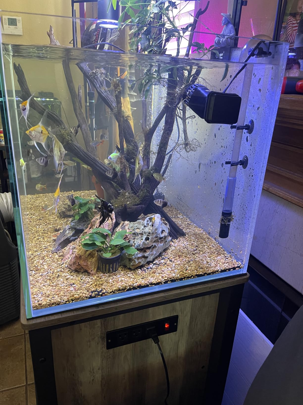 LANDEN 90P 55 Gallon Rimless Low Iron Aquarium Tank,W35.4×D19.7×H19.7 in(90x50x50cm) 10mm Thickness with Black Nano Foam Leveling mat Included customer photo 1