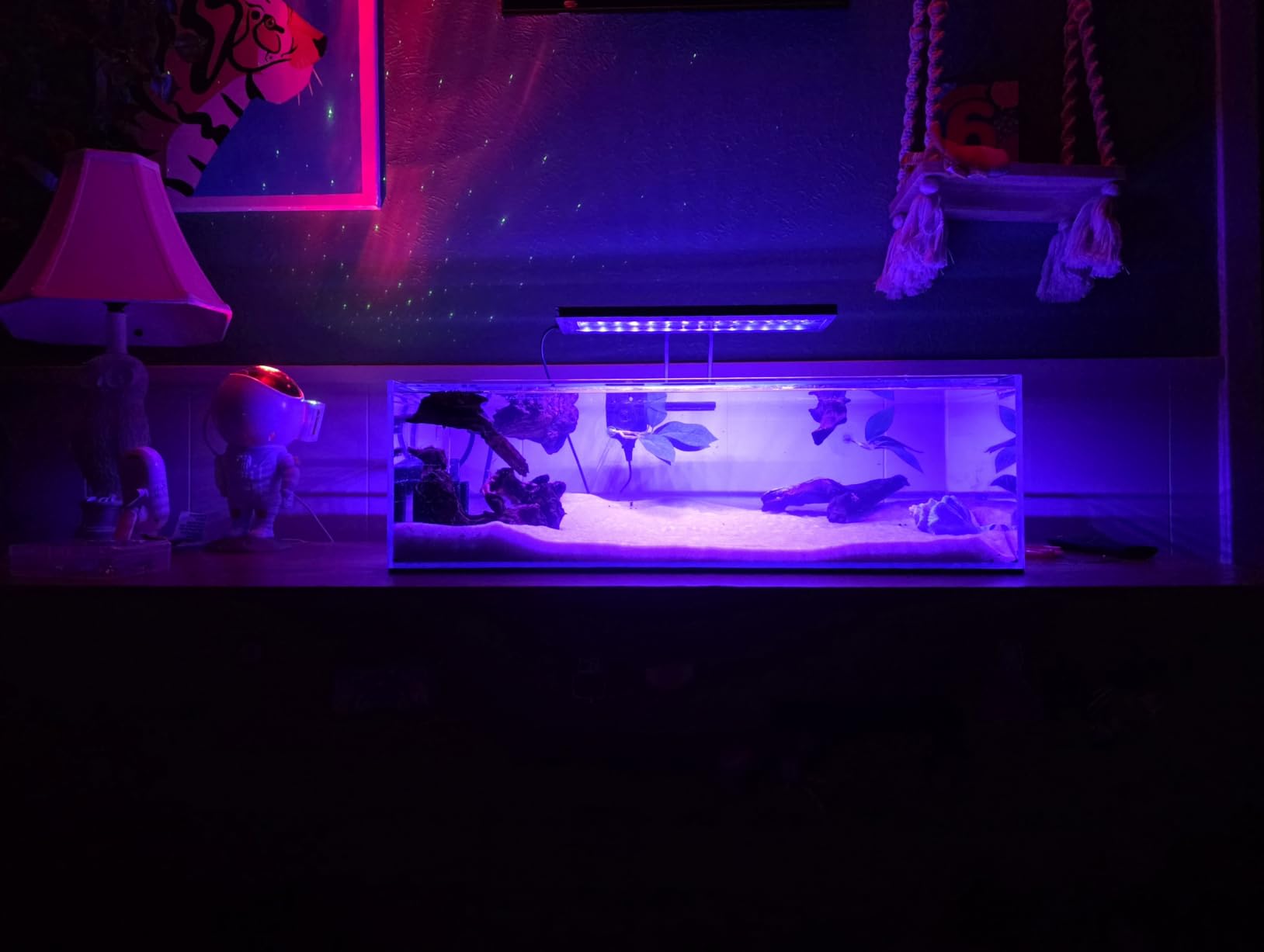 LANDEN 90P 55 Gallon Rimless Low Iron Aquarium Tank,W35.4×D19.7×H19.7 in(90x50x50cm) 10mm Thickness with Black Nano Foam Leveling mat Included customer photo 2