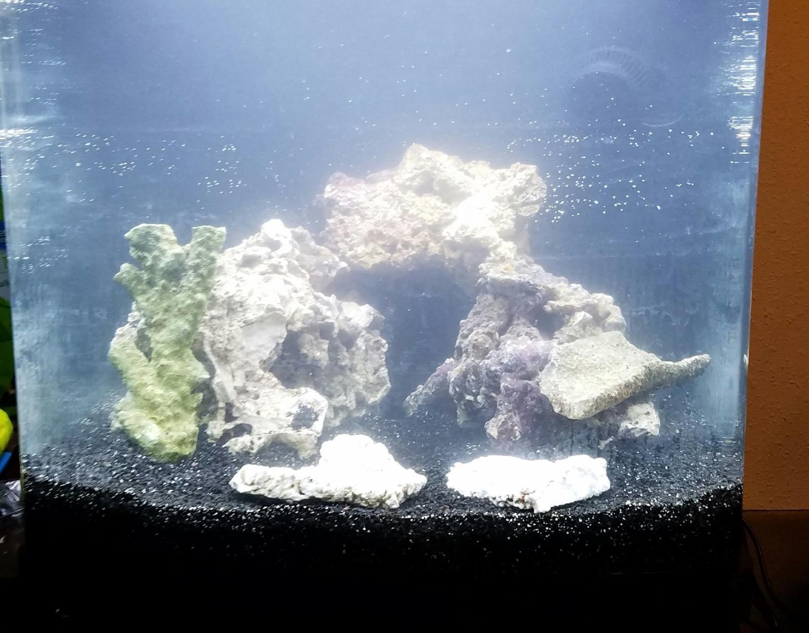 Coralife BioCube Aquarium Kit, Integrated 24-hour Timer, Customizable LED Lighting, for Saltwater and Freshwater Environments, 32 Gallon customer photo 1