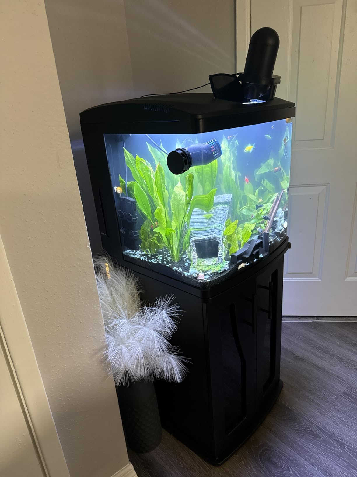 Coralife BioCube Aquarium Kit, Integrated 24-hour Timer, Customizable LED Lighting, for Saltwater and Freshwater Environments, 32 Gallon customer photo 2