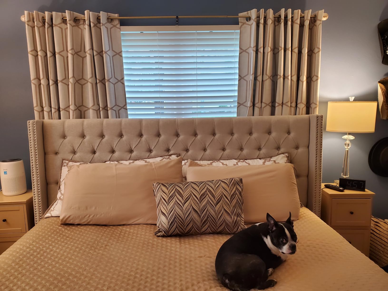 Madison Park Amelia Upholstered Headboard - Nail Head Trim Wingback Button Tufted - King, Cream customer photo 2