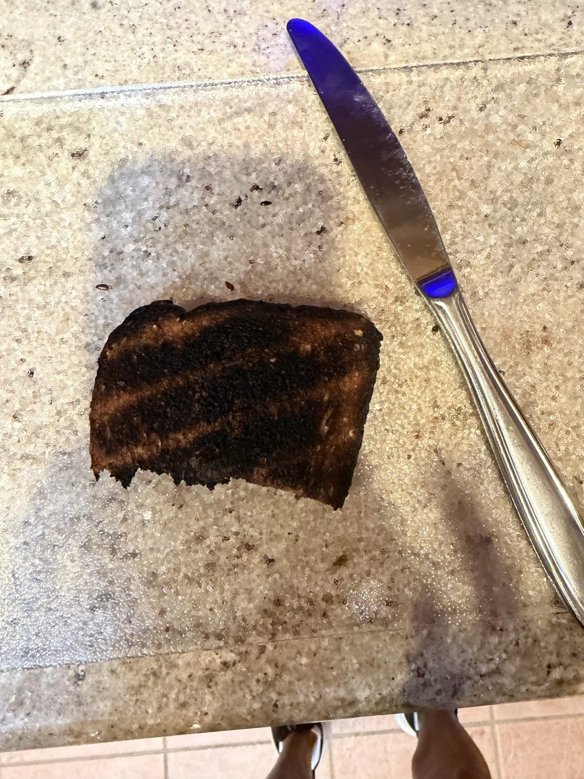 BLACK+DECKER 4-Slice Toaster Oven with Natural Convection, Stainless Steel, TO1760SS (TO1760SST-1) customer photo 2