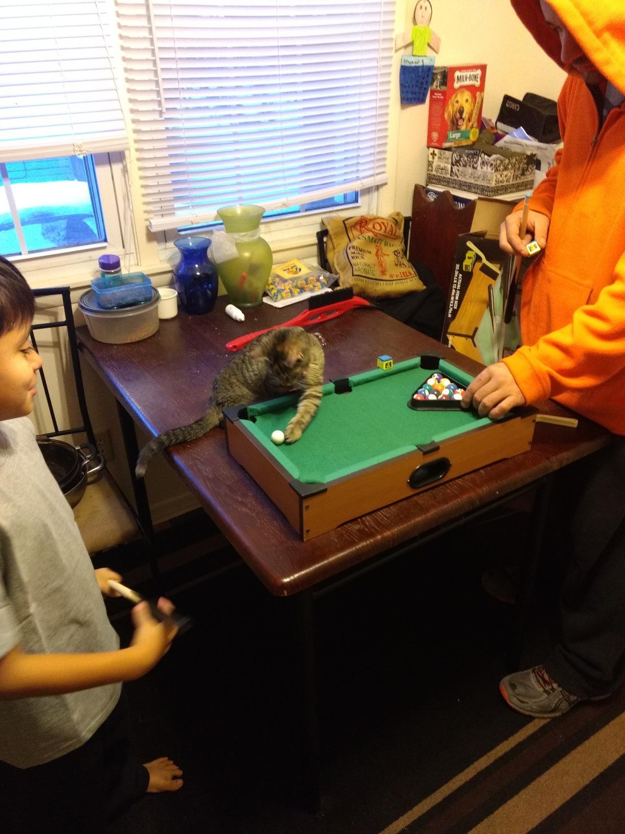 Matty's Toy Stop Deluxe 20