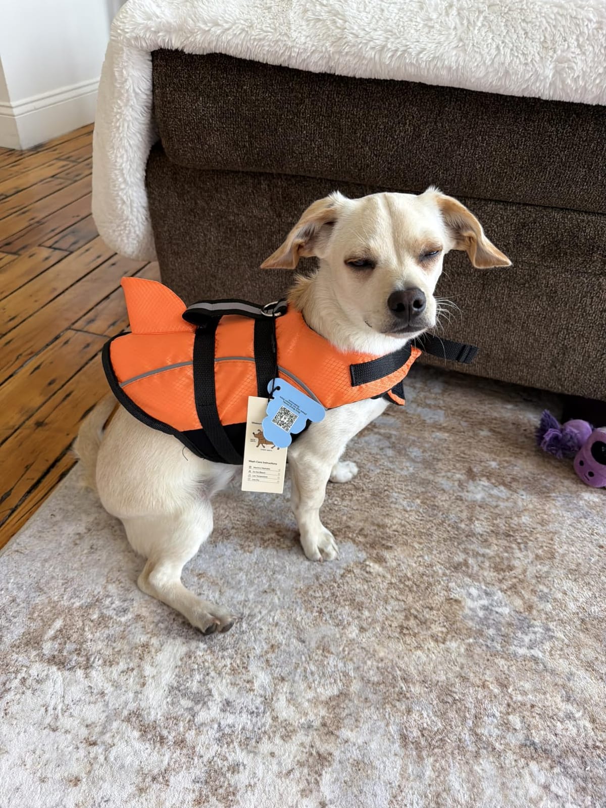 Ripstop Dog Life Jacket Shark Life Vest for Dogs, Safety Lifesaver with High Buoyancy and Lift Handle for Small and Medium Breeds (Rose Red XS) customer photo 1