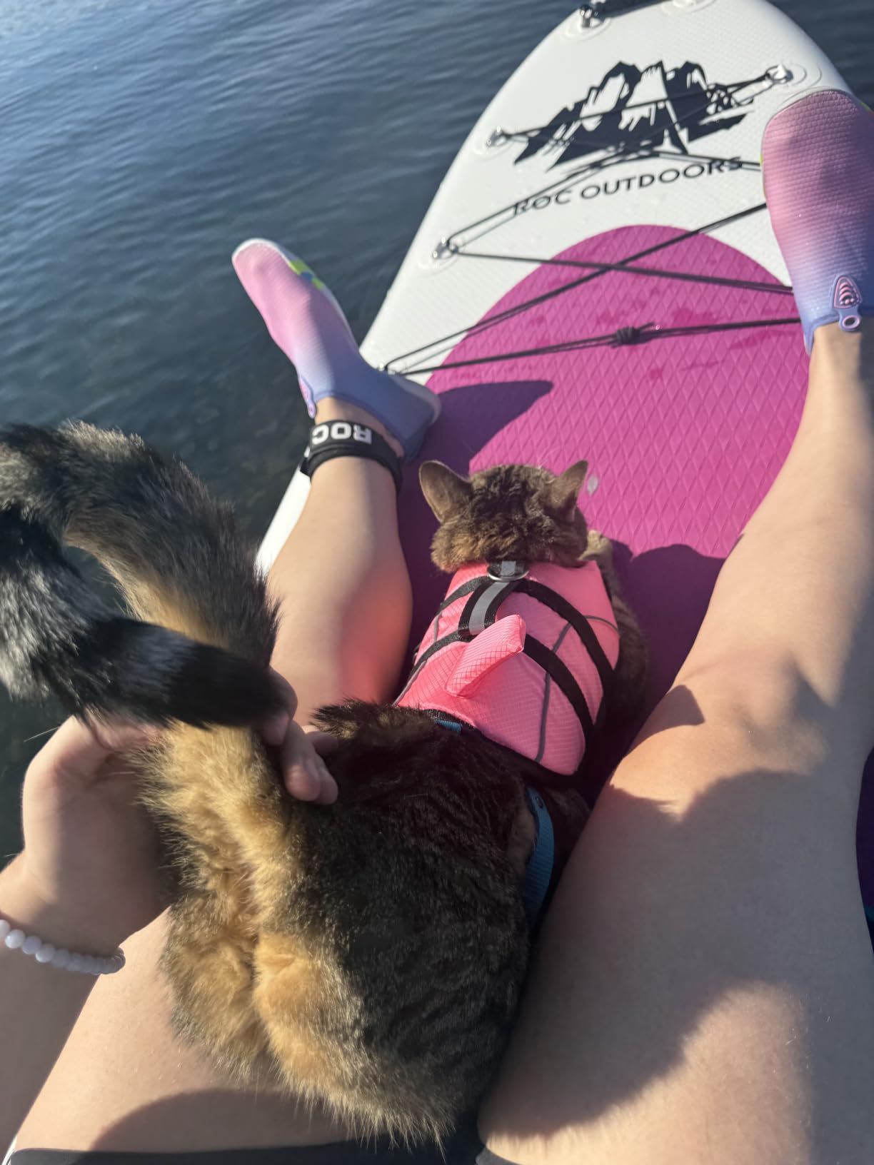 Ripstop Dog Life Jacket Shark Life Vest for Dogs, Safety Lifesaver with High Buoyancy and Lift Handle for Small and Medium Breeds (Rose Red XS) customer photo 2