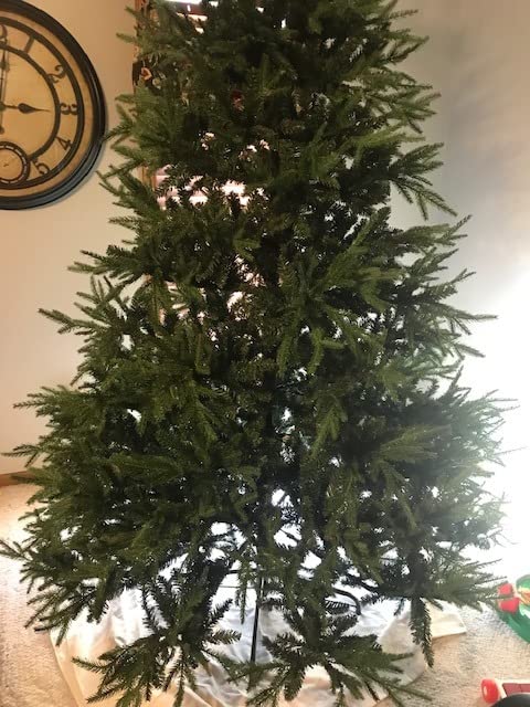 National Tree Company 7.5ft Unlit Fraser Grande Artificial Christmas Tree | 3,719 Tips, Includes Stand, Green customer photo 2