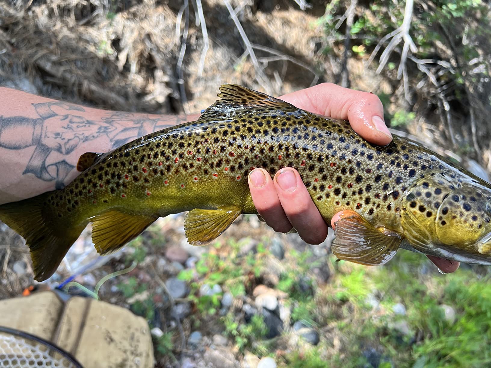 Redington Crosswater Prespooled 4/5/6 Fly Reel with 5 Weight Rio Products Mainstream Floating Fly Line - Black customer photo 2