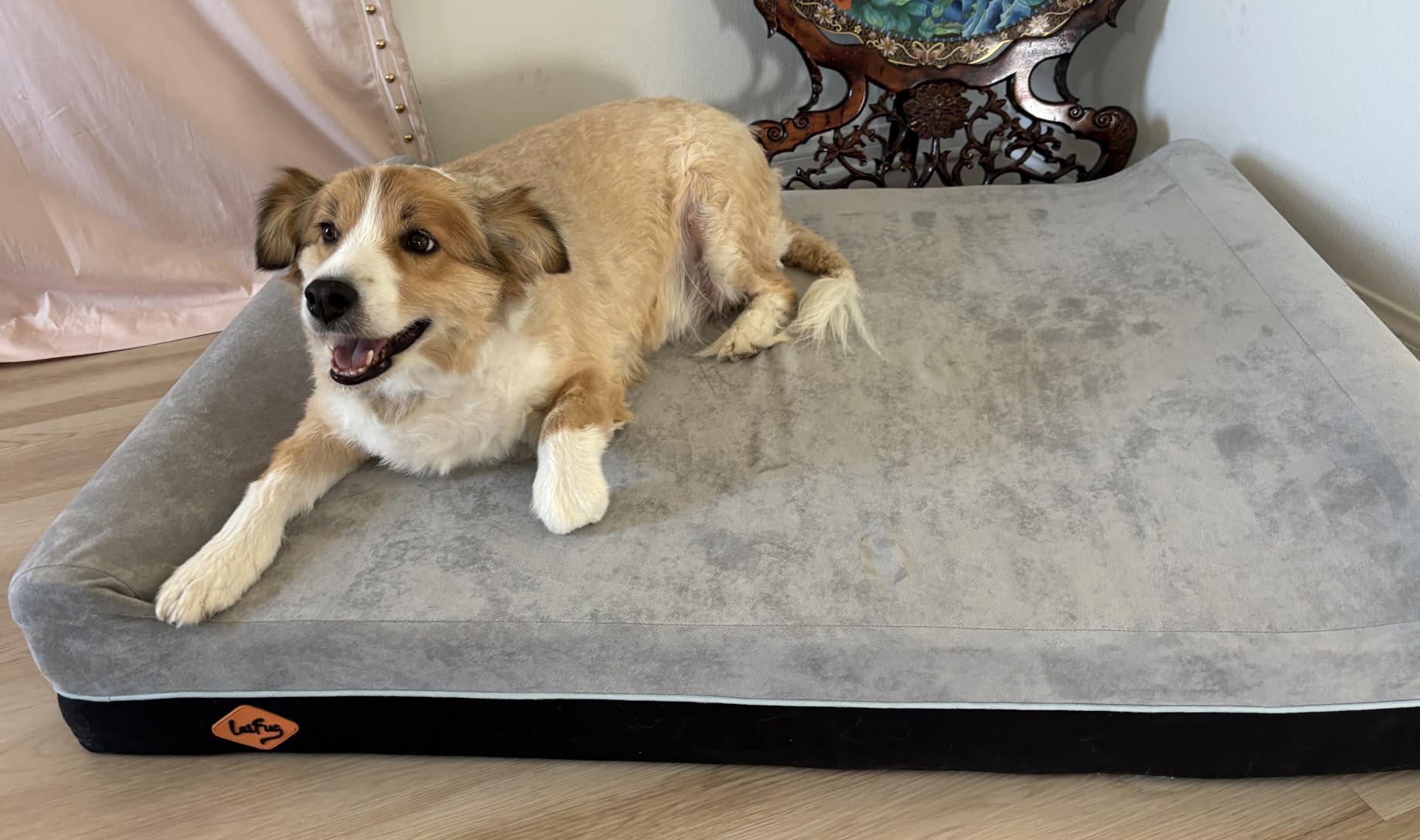 Laifug Orthopedic Dog Beds for Large Dogs, 7