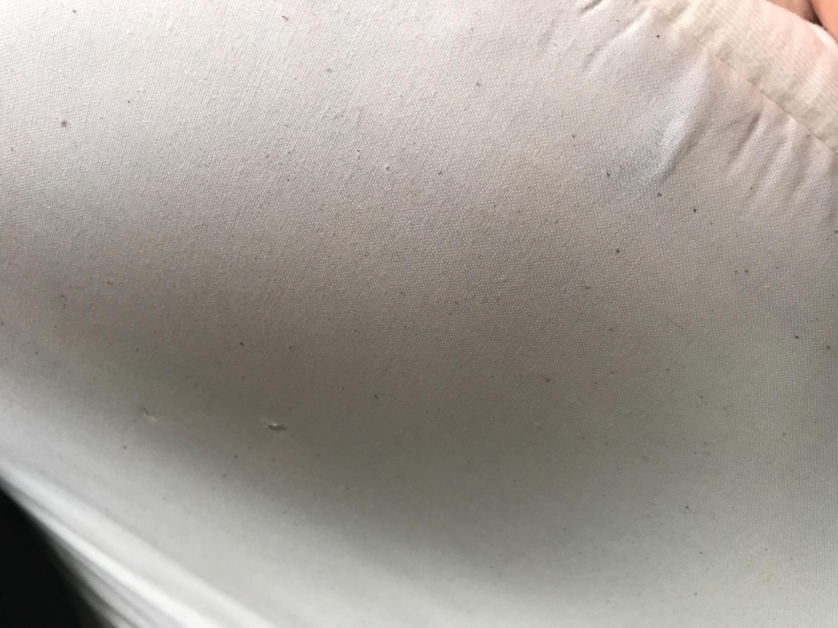 Happsy Organic Hybrid Mattress - Natural Latex Mattress - Medium Firm with Encased Coil Layers for Universal Comfort and Pressure Relief - Bed-in-a-Box - Twin customer photo 1