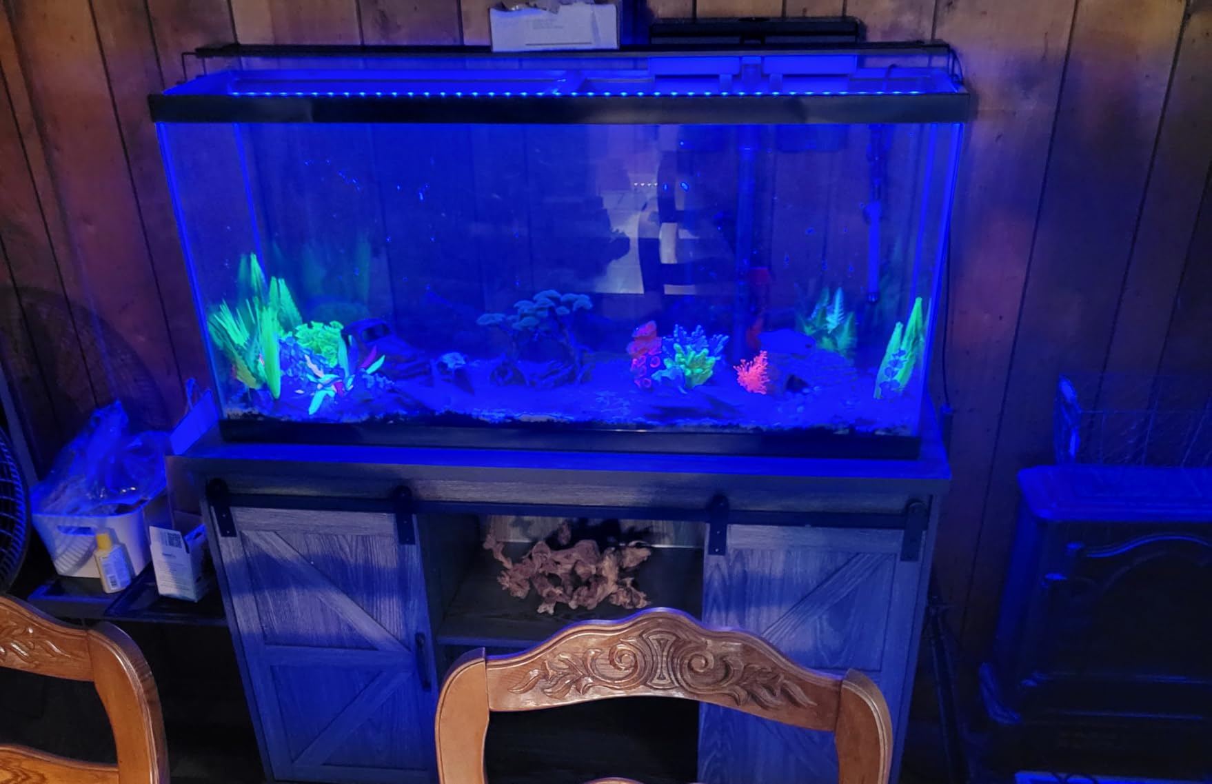 Tetra LED 55 Gallon Complete Fish Tank Kit customer photo 2
