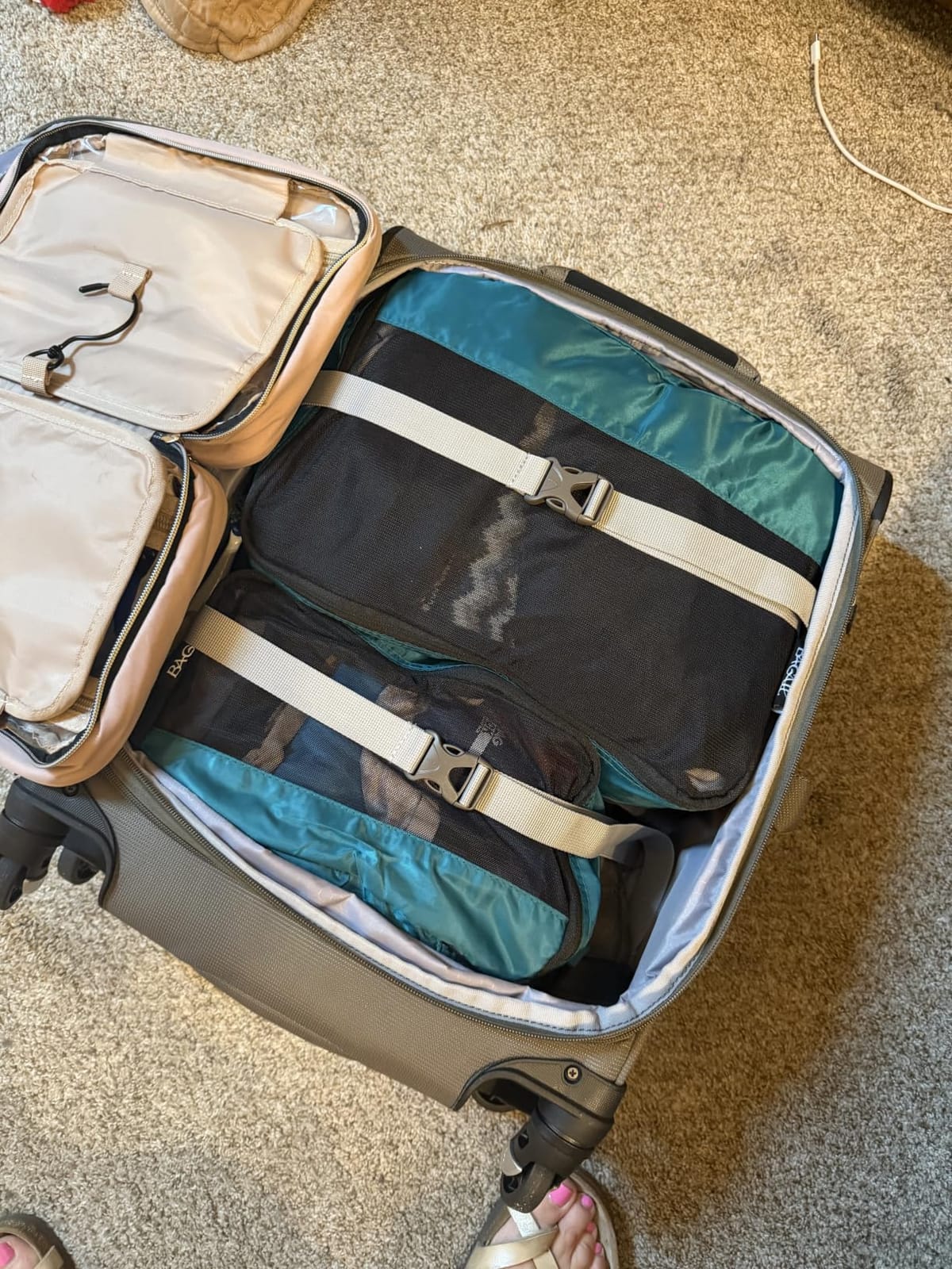 Maxlite 5 Softside Carry-On Luggage Spinner, Green, 21-Inch customer photo 1