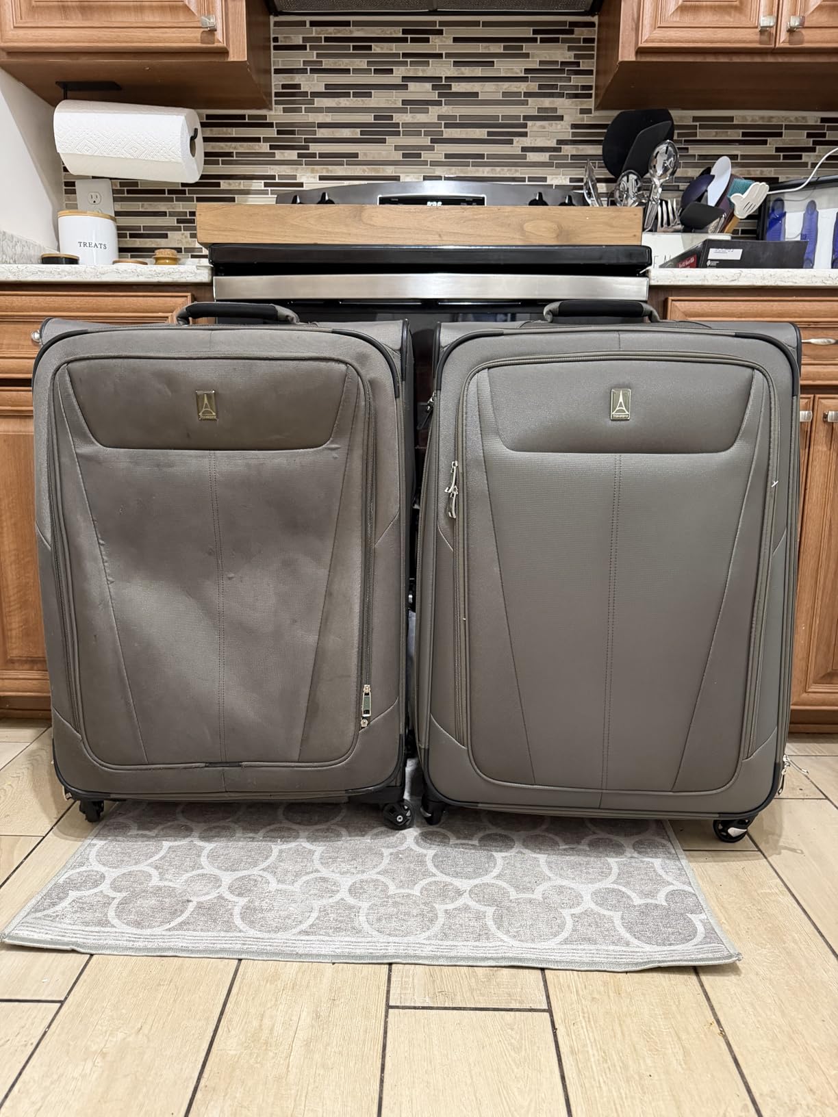 Maxlite 5 Softside Carry-On Luggage Spinner, Green, 21-Inch customer photo 2