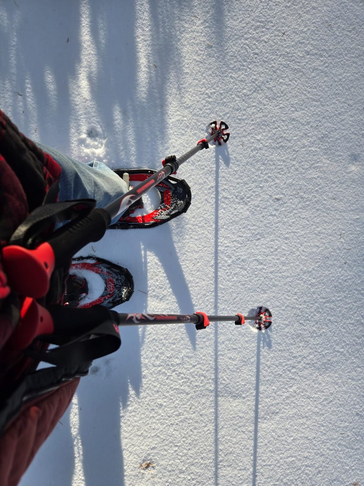 G2 21/25/30/36 Inches Light Weight Snowshoes with Trekking Poles, Tote Bag, Special EVA Padded Ratchet Binding, Heel Lift, Toe Box (6 Colors Available) customer photo 1