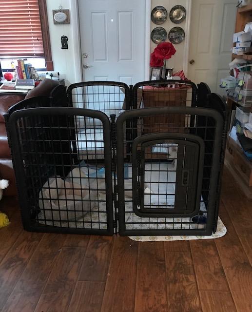 Amazon Basics 8-Panel Octagonal Plastic Dog Playpen, Indoor/Outdoor Pet Fence with Gate, Exercise Pen for Puppies and Small Animals, 28 inches, Grey customer photo 2