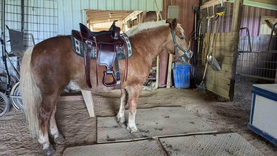 HILASON Western Draft Horse Trail Pleasure American Leather Saddle | for Horses customer photo 1
