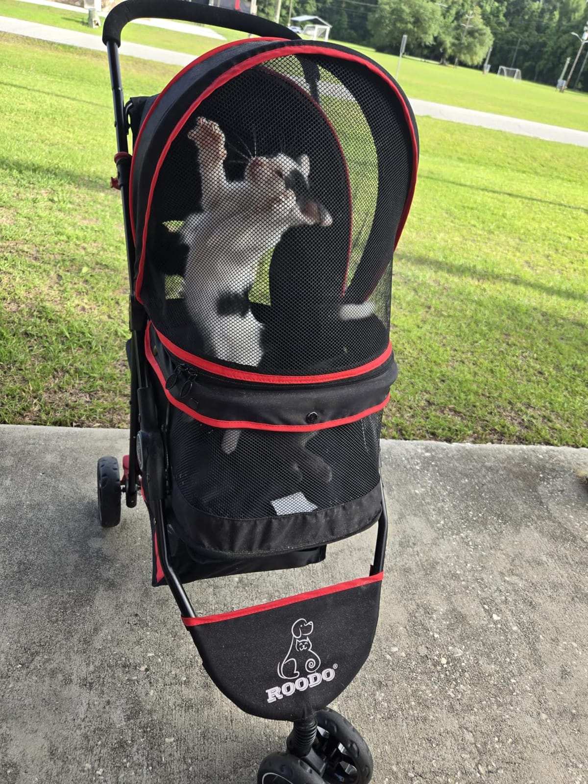 ROODO Escort 3 Wheel Dog Cat Pet Stroller for Small/Medium Dogs Cats Best Lightweight Foldable Portable Compact Jogger All Terrain Travel Pet Gear System customer photo 1