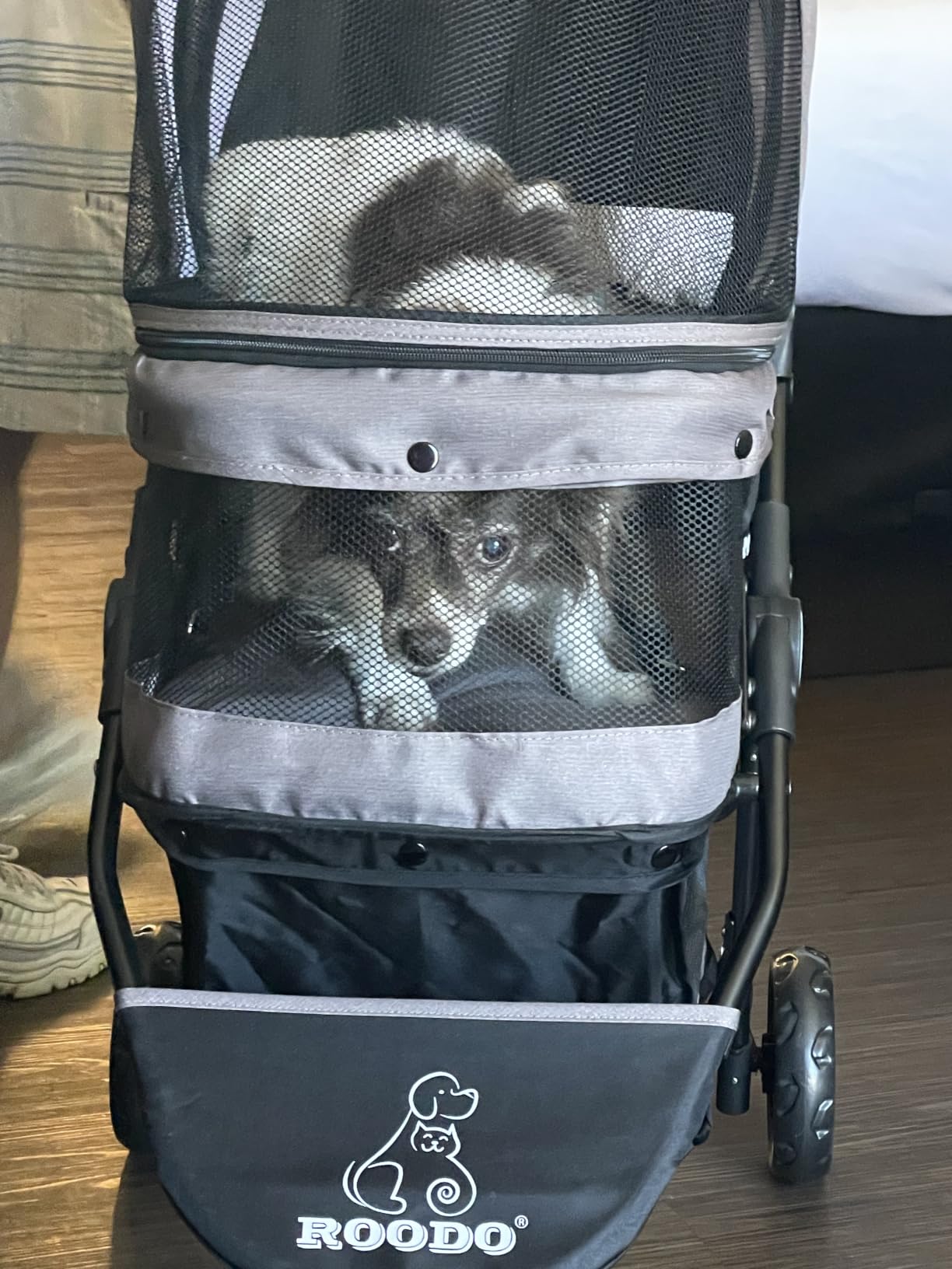 ROODO Escort 3 Wheel Dog Cat Pet Stroller for Small/Medium Dogs Cats Best Lightweight Foldable Portable Compact Jogger All Terrain Travel Pet Gear System customer photo 2