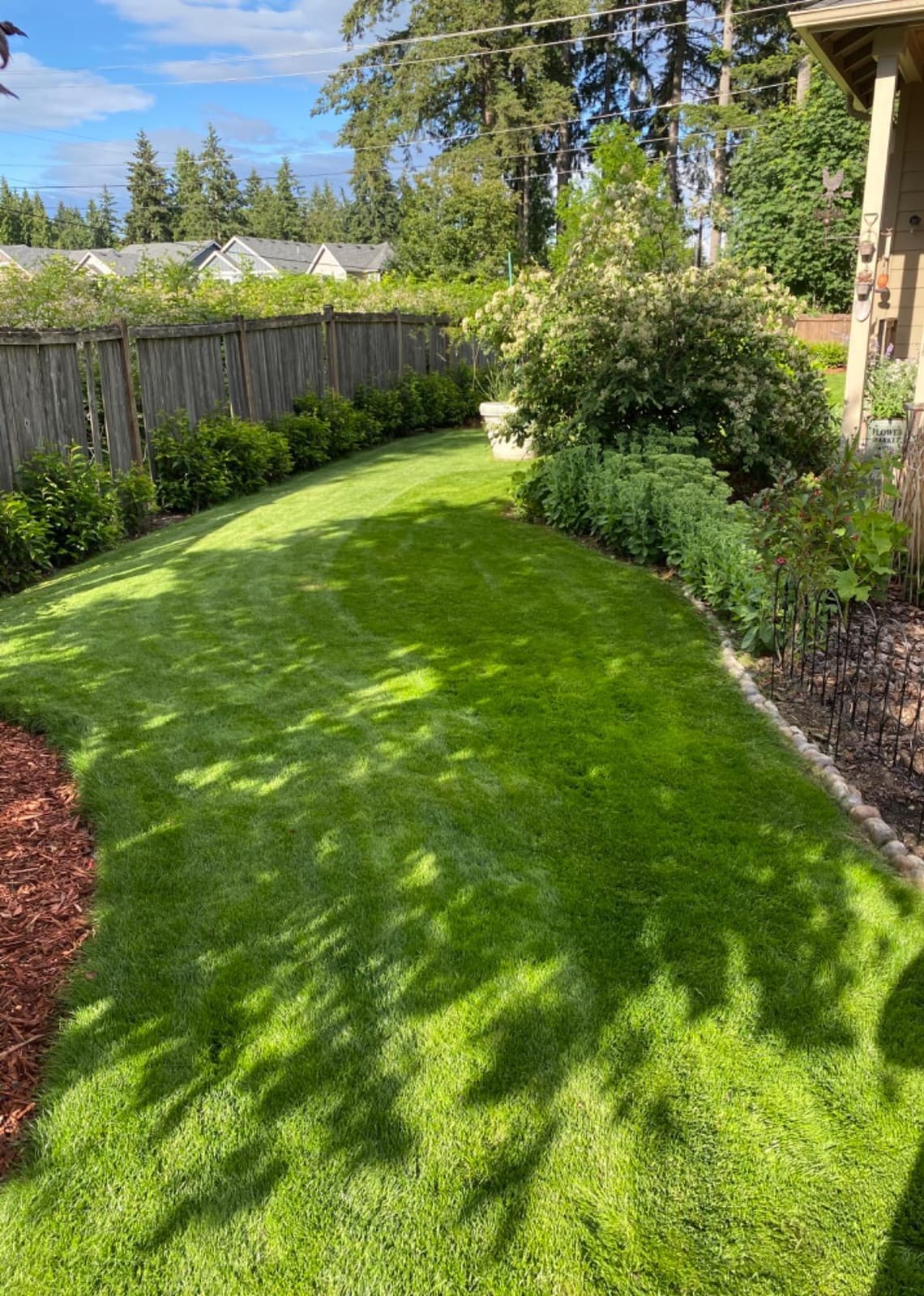 Liquid Lawn Aerator (32 fl oz) - Loosens & Conditions Compacted Soil - Alternative to Core and Mechanical Aeration - Improves Water Penetration & Drainage + Soil Oxygenation - American Made customer photo 1