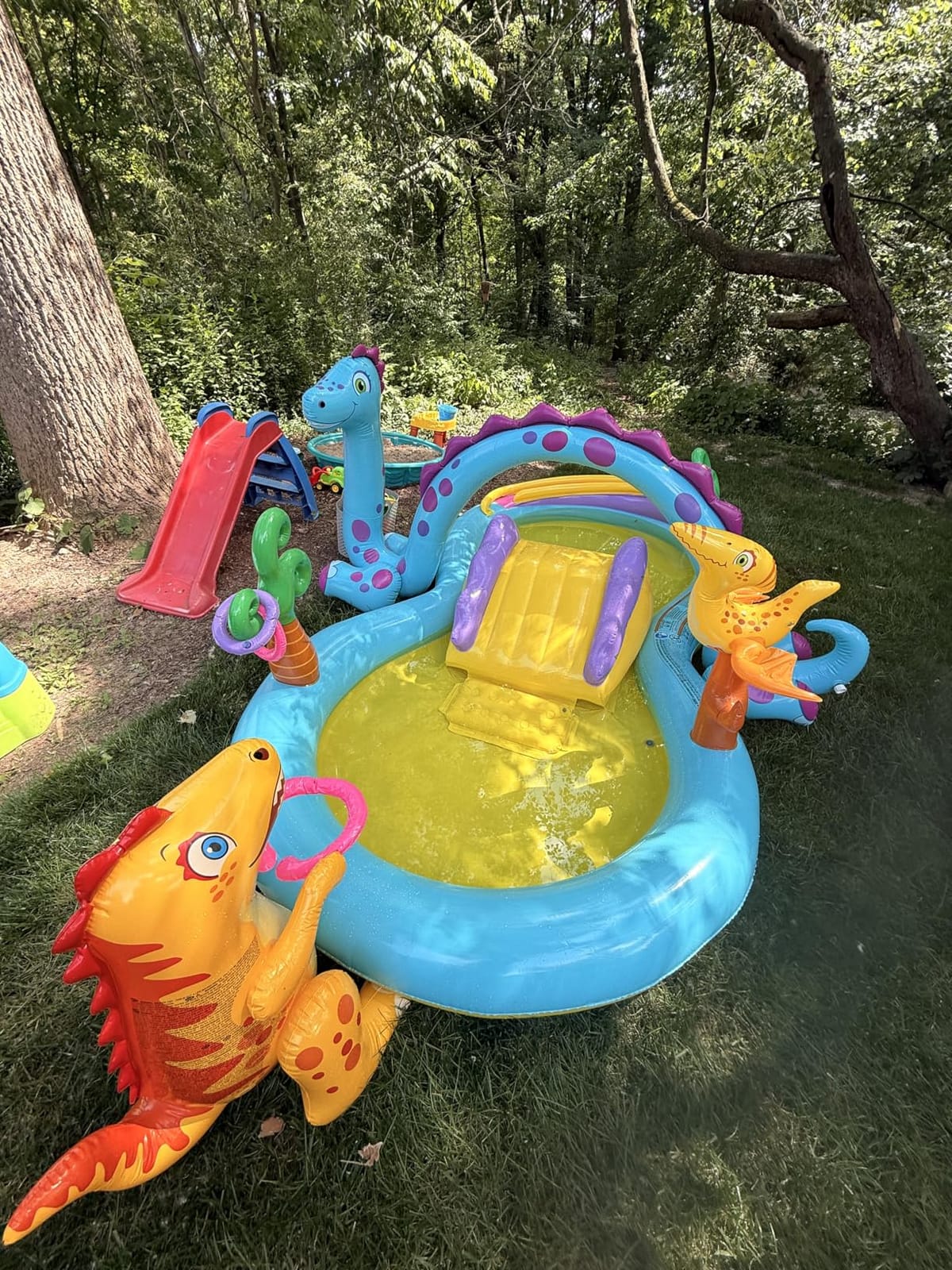 INTEX Jungle Adventure Inflatable Water Slide Park & Kiddie Swimming Pool, 57161EP - Blow Up Play Center with Sprinkler & Fun Games for Kids Ages 2 and Up customer photo 1