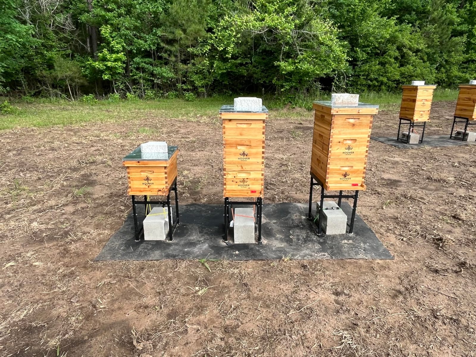 Hoover Hives Complete 8-Frame Beehive Kit - Wax-Coated Fir Wood, Includes 2 Deep Brood Boxes, 1 Medium Super, Langstroth Frames & CellTech Foundations - Durable, Weather-Resistant Beekeeping Supplies customer photo 1
