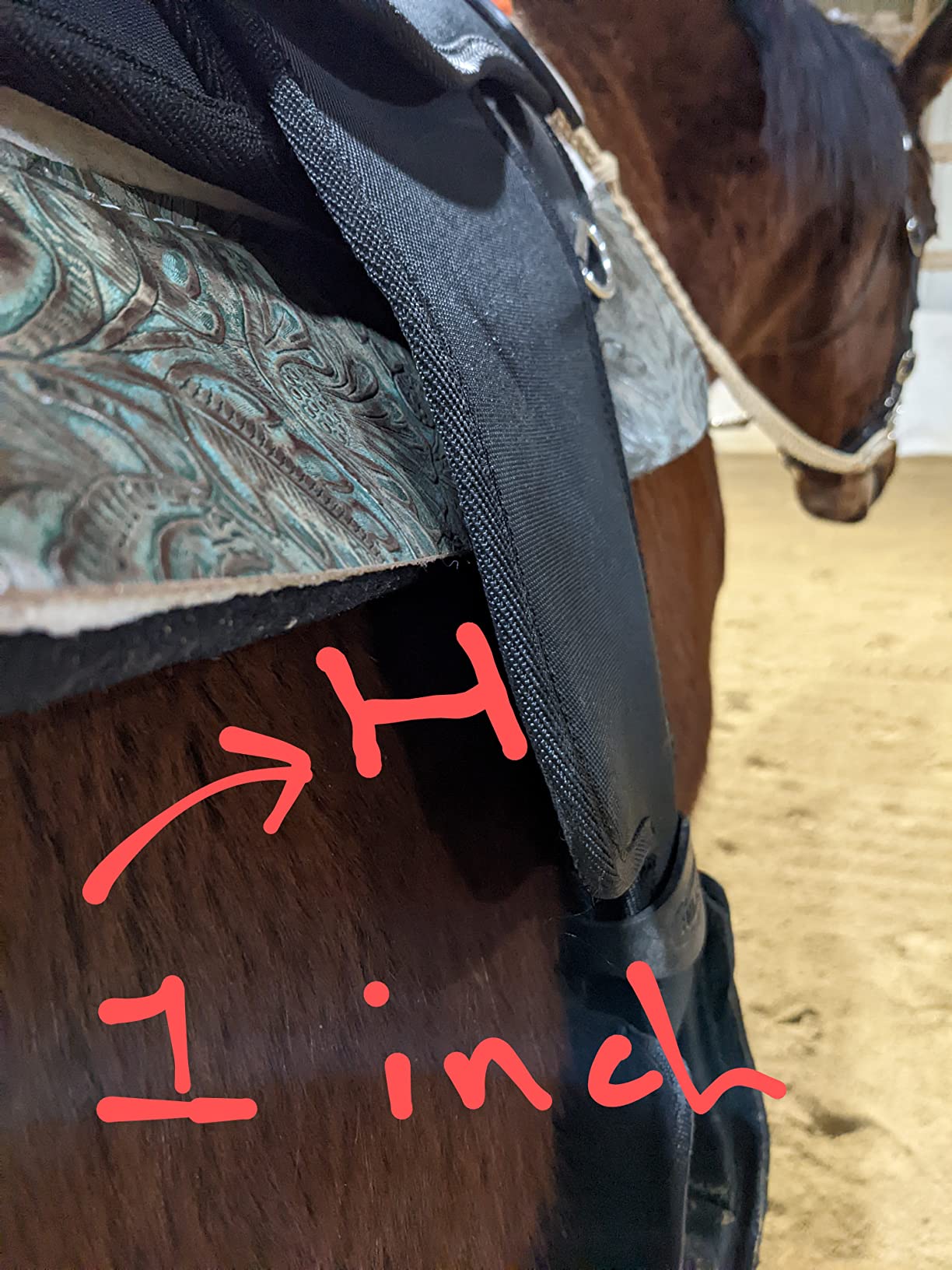 Southwestern Equine OrthoRide Made in USA Premium All Wool Build up, Saddle Pad Western, Classic Contour Saddle Pad, Ortho Pad Horse Saddle Pad, Saddle Blanket, 30x30 & 31x32 customer photo 2