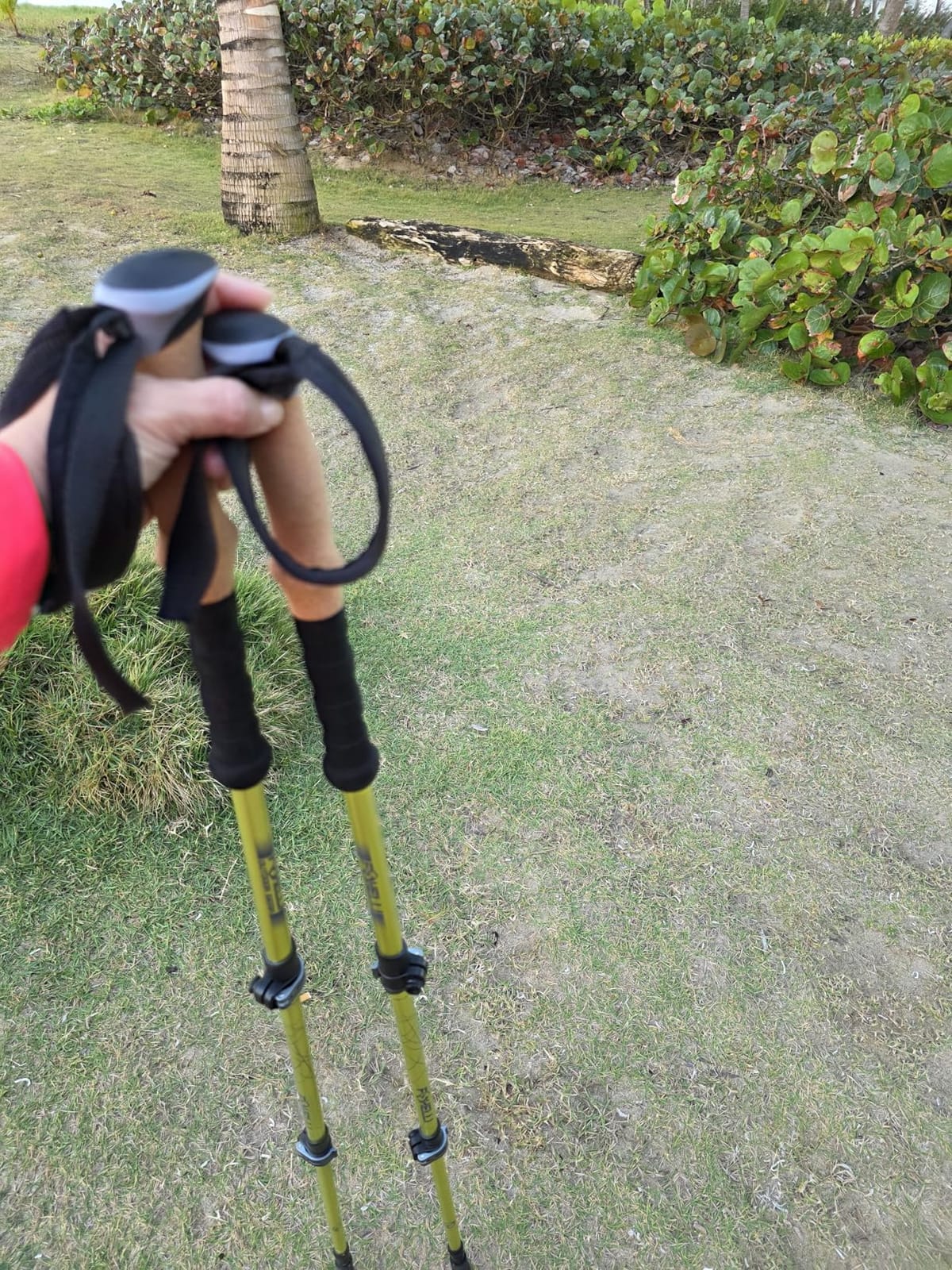 Foxelli Trekking Poles - Lightweight Collapsible Aircraft Grade Aluminum Hiking Poles with Cork Grips Quick Locks & All-Terrain Accessories - Pair of 2 customer photo 2