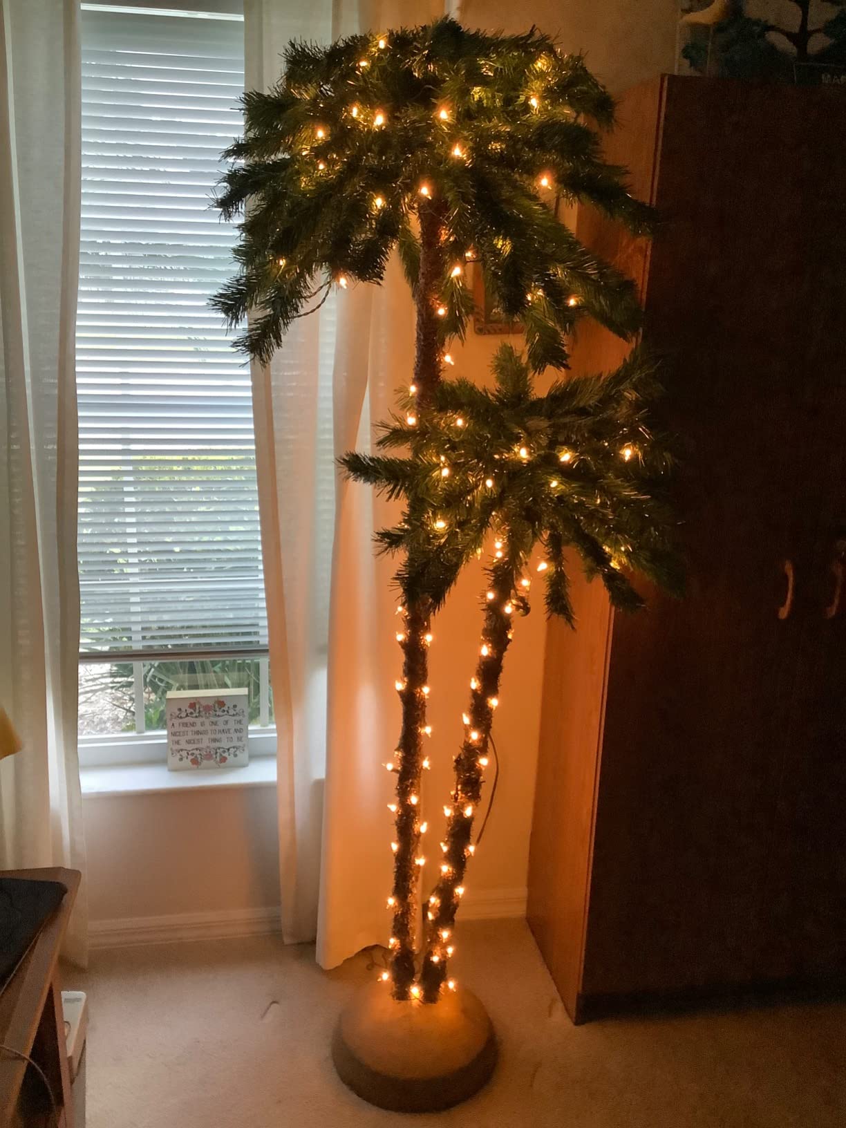 Puleo International 5 Foot Pre-Lit Artificial Palm Tree with 150 UL-Listed Clear Lights customer photo 1