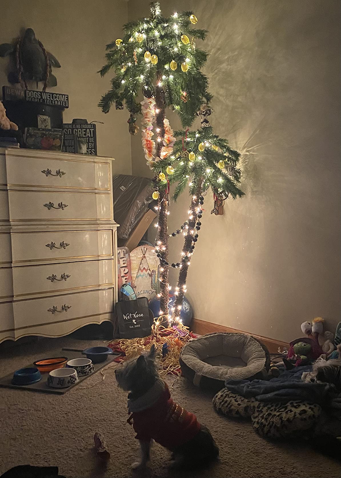 Puleo International 5 Foot Pre-Lit Artificial Palm Tree with 150 UL-Listed Clear Lights customer photo 2