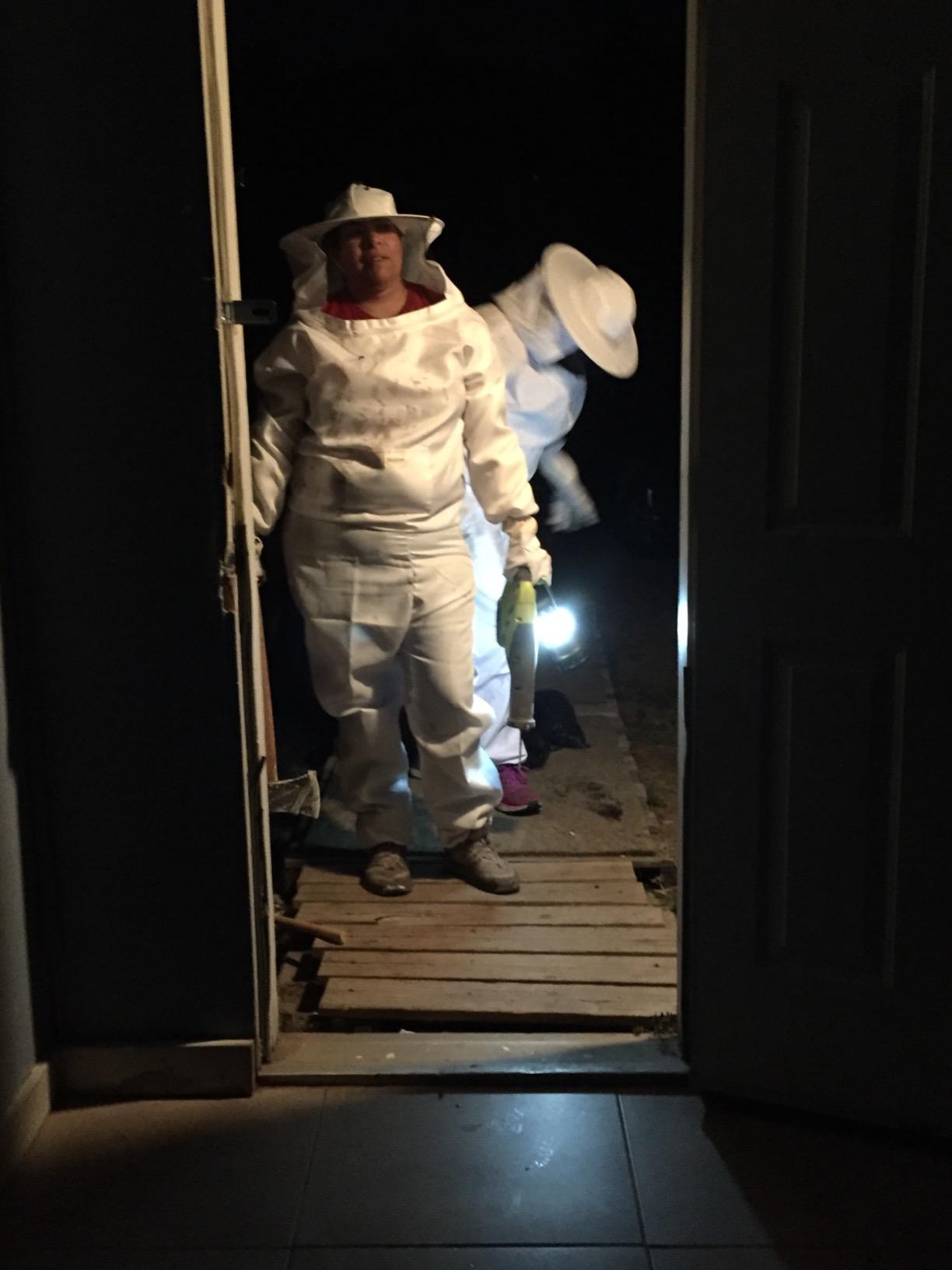 Blisstime Bee Hive Bee Smoker Stainless Steel with Heat Shield Beekeeping Supplies and Equipment customer photo 2