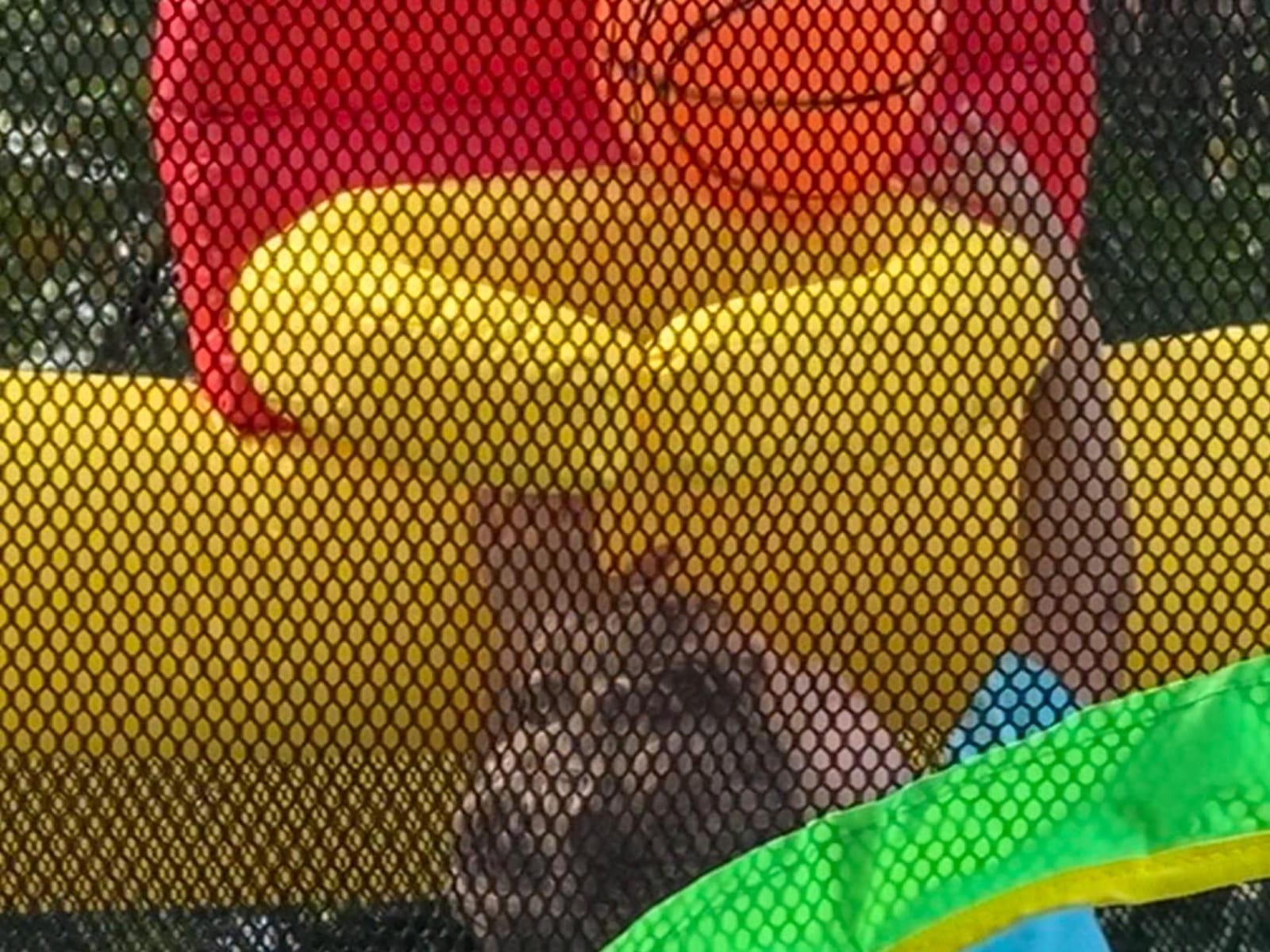 WELLFUNTIME Inflatable Bounce House, Jumping Castle Slide with Blower, Kids Bouncer with Ball Pit customer photo 2