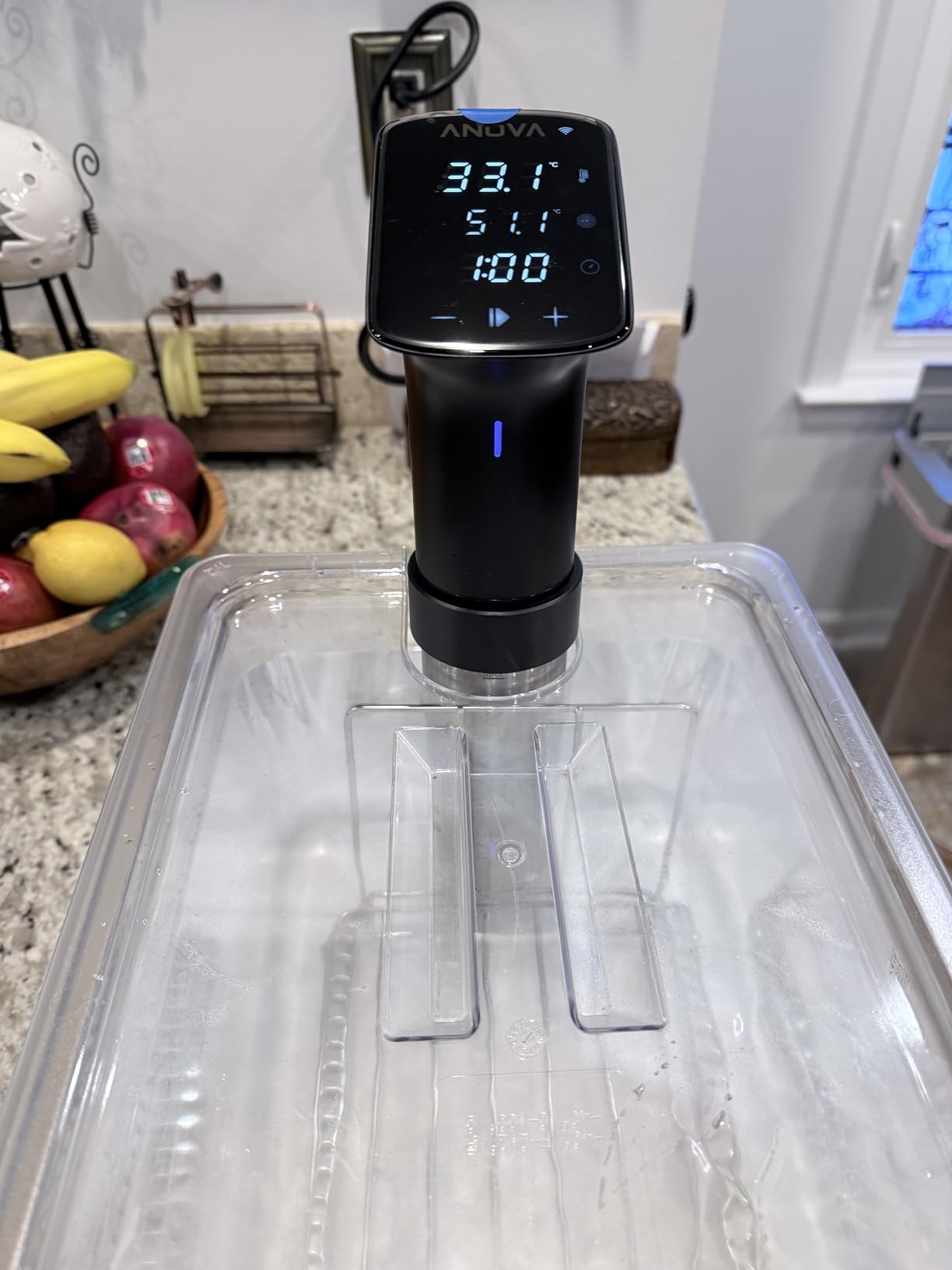 Anova Culinary Sous Vide Precision Cooker Pro, 1200 Watts, Black and Silver customer photo 1