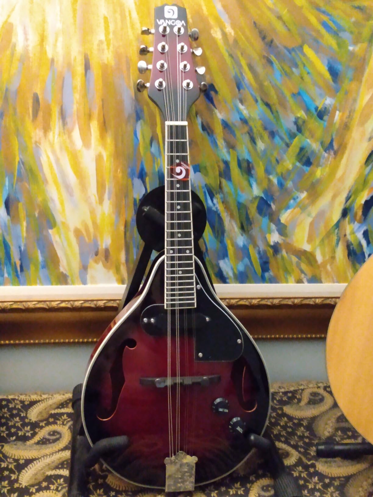 Vangoa Mandolin Musical Instrument A Style Acoustic Electric, 8 Strings Mahogany for Beginner Adults Teens, Red Burst customer photo 1