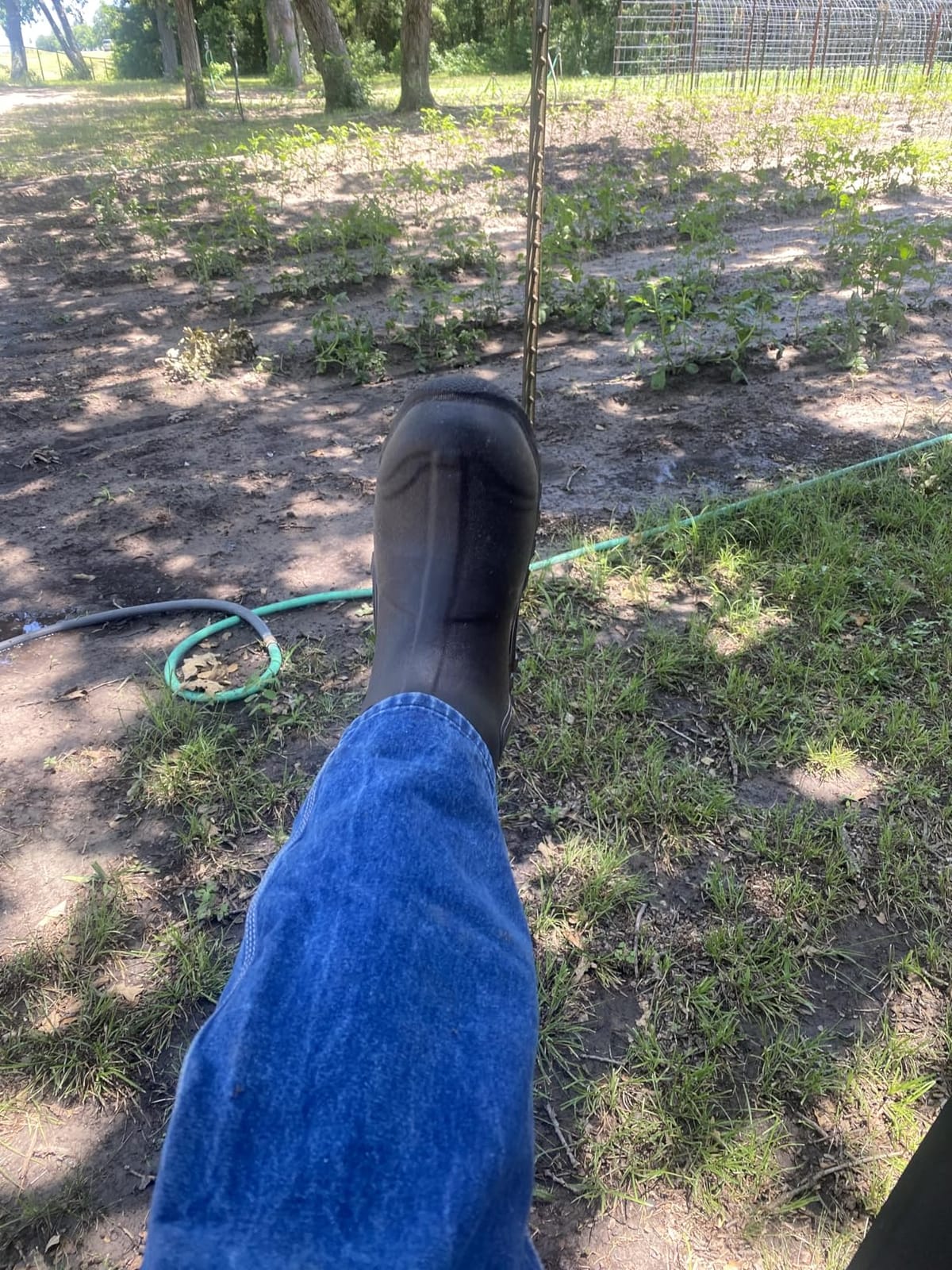 Men's Edgewater Classic Mid Boot customer photo 1