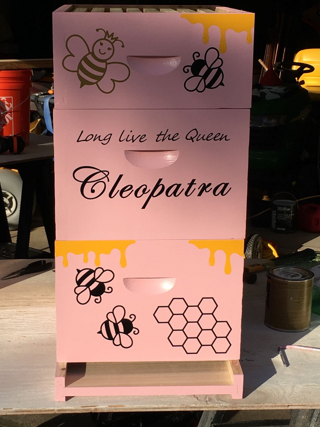 NuBee 8-Frame Beehive Kit - Unassembled Langstroth Hive with 2 Deep & 1 Medium Boxes, Frames & 100% Wax-Coated Foundations | Lightweight Fir & Pine Construction customer photo 1