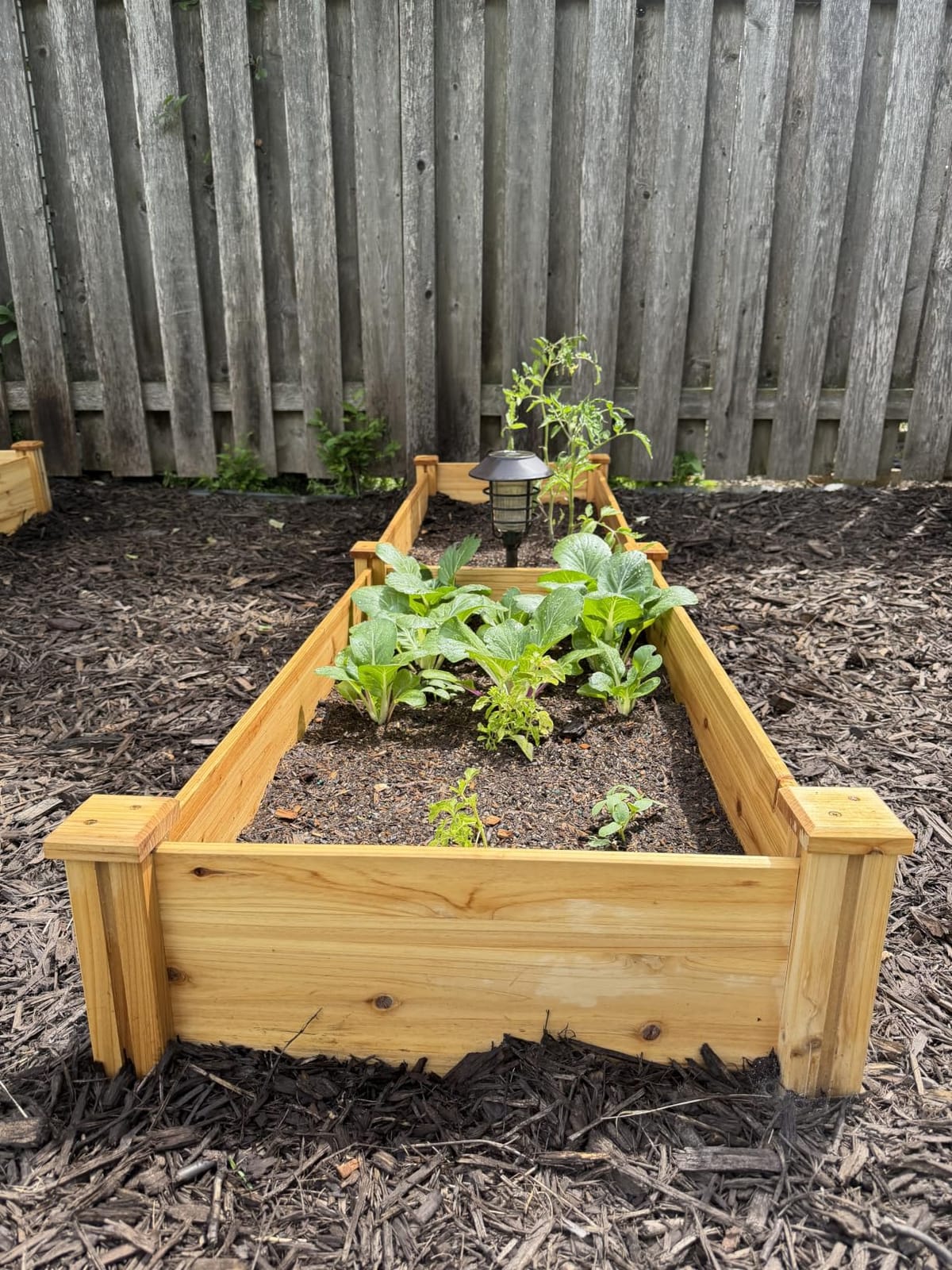 Yaheetech 8×2ft Wooden Horticulture Raised Garden Bed Divisible Elevated Planting Planter Box for Flowers/Vegetables/Herbs in Backyard/Patio Outdoor, Natural Wood, 95 x 25 x 11in customer photo 1
