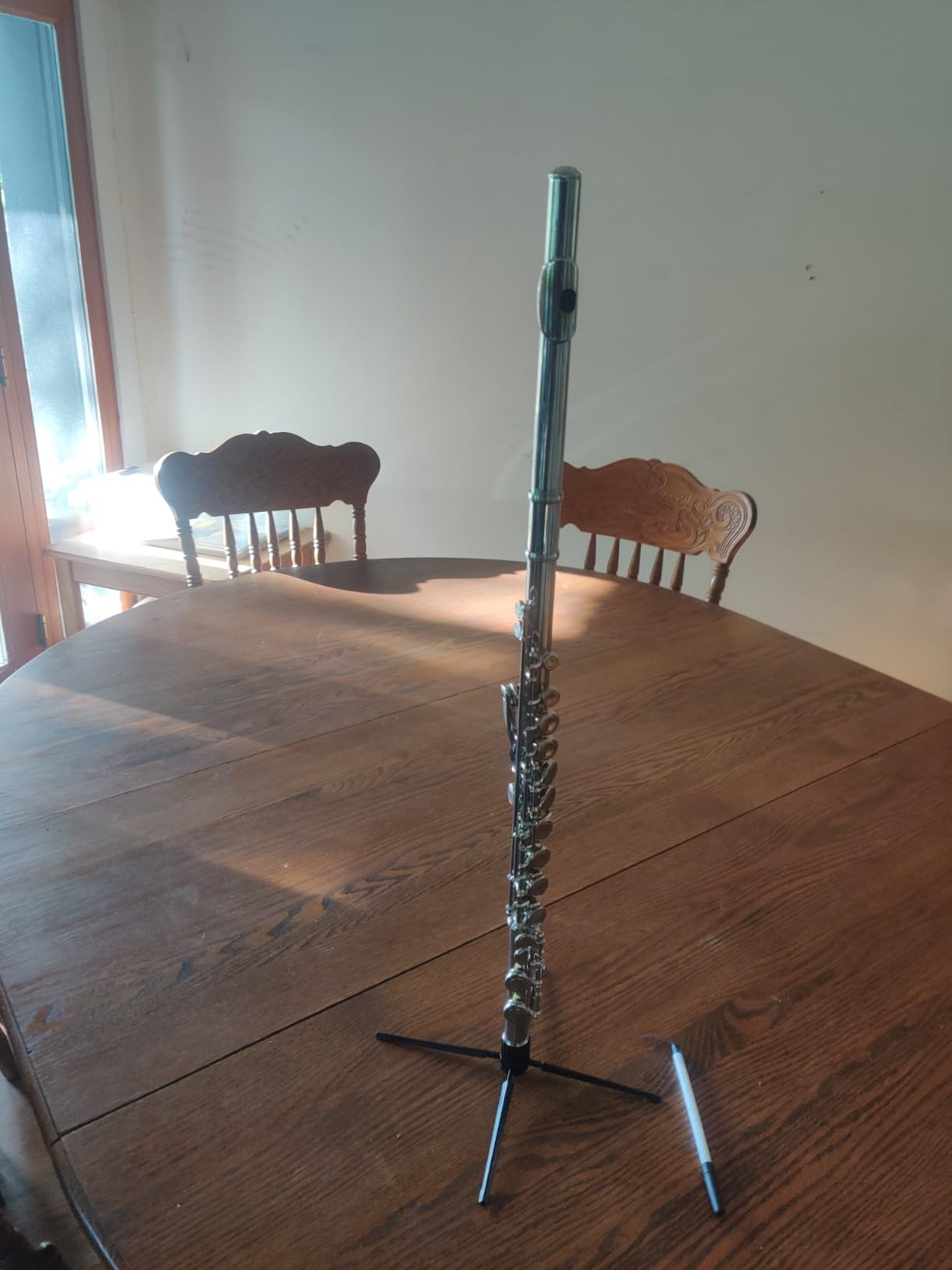 Cecilio Closed Hole C Flute - Musical Instrument, Beginner/Intermediate Flute in Band & Orchestra, Nickel customer photo 1