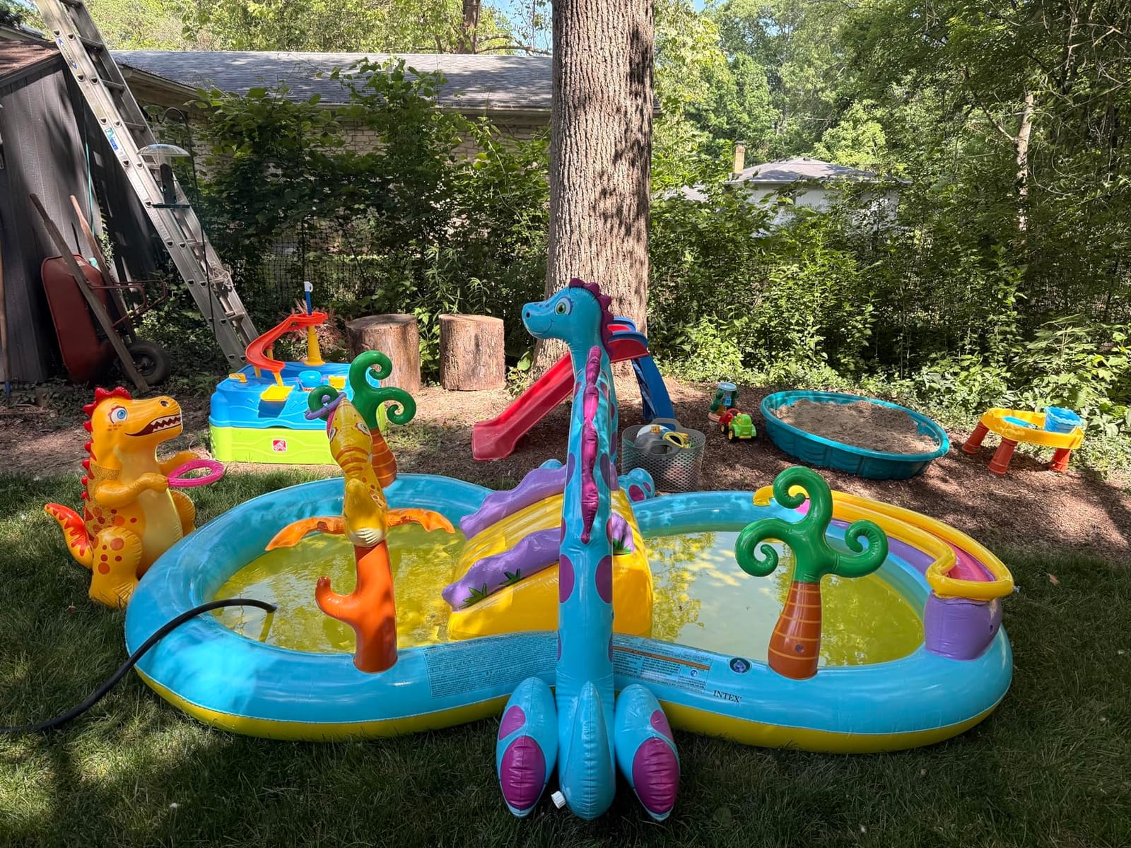 INTEX Gator Inflatable Swim Center & Kiddie Pool for Outdoor Play, 57165EP - Blow Up Water Park with Slide, Sprinkler, and Floatie for Kids Ages 2 and Up customer photo 2