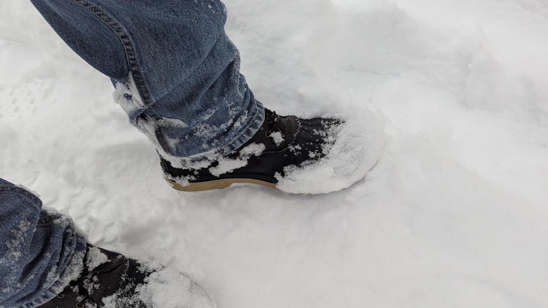 NORTIV 8 Men's Waterproof Winter Snow Boots | 200g Insulation Retains Heat to -25F; Sealed Build Keeps Feet Dry; Rubber Outsole Boosts Grip AVENUE customer photo 2