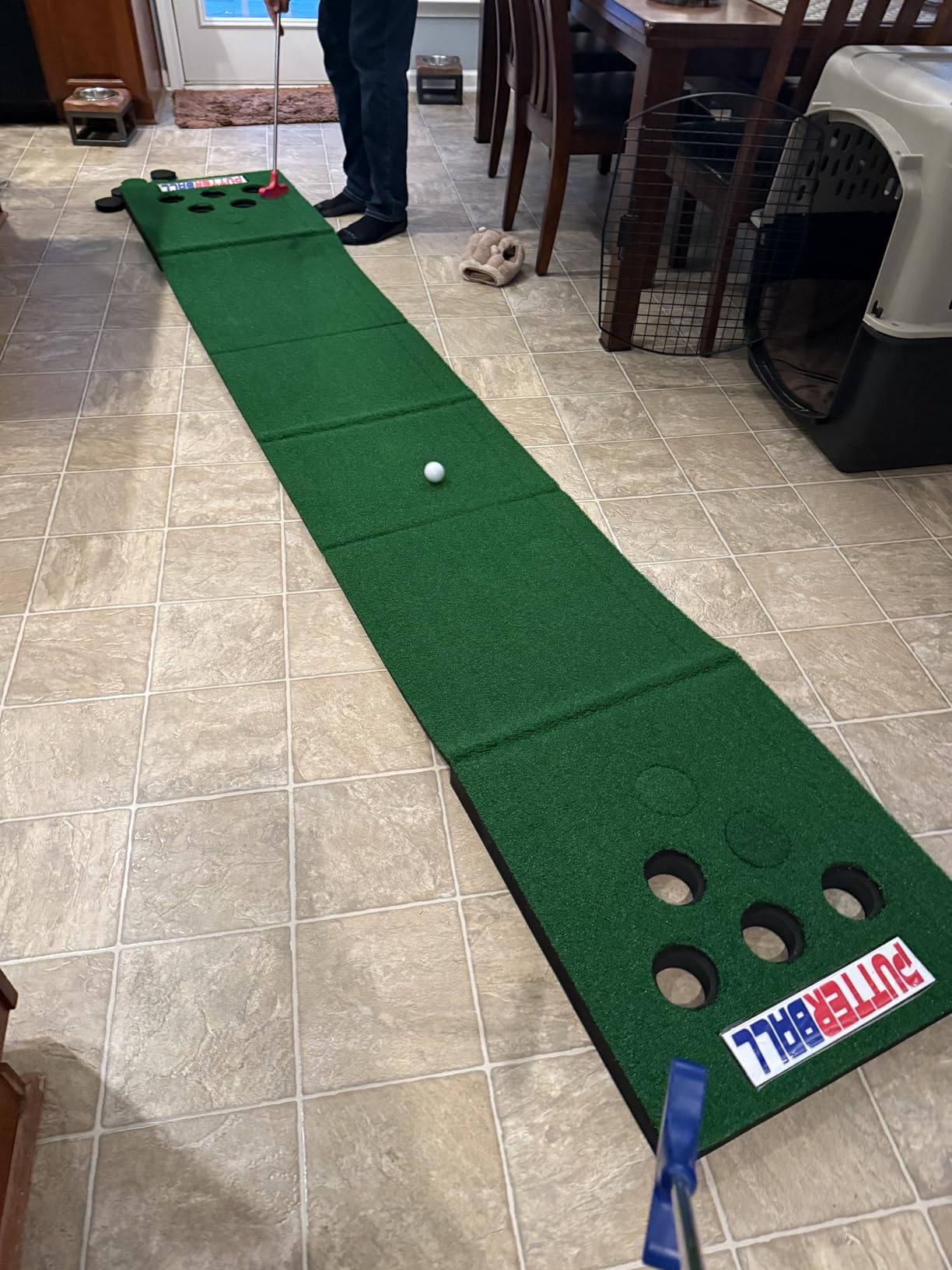 PutterBall Original Golf Putting Game Set - Backyard 12 ft Putting Green customer photo 2