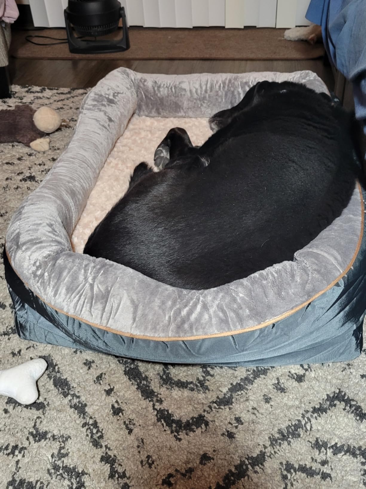 JOYELF XLarge Memory Foam Dog Bed, Orthopedic Dog Bed & Sofa with Removable Washable Cover and Squeaker Toy as Gift customer photo 2