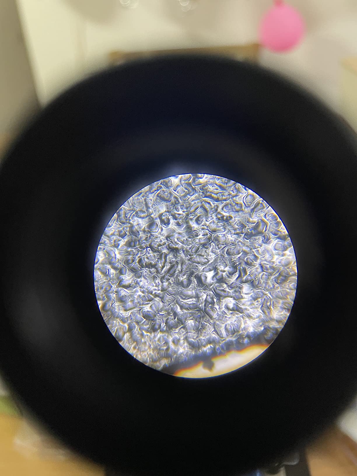 Microscope for Kids Beginners Children Student, 40X- 1000X Compound Microscopes with 52 pcs Educational Kits customer photo 1