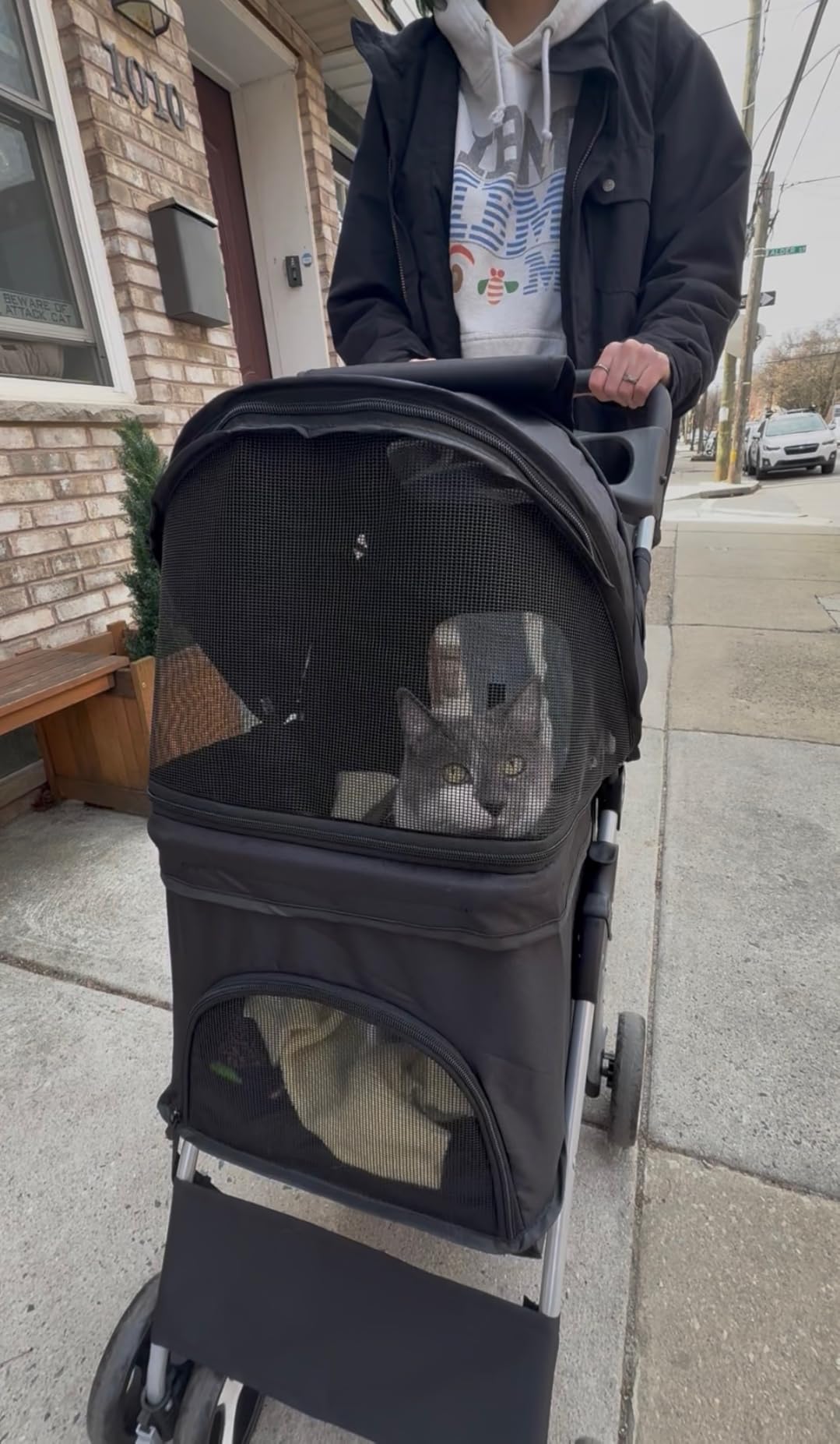 4 Wheels Pet Stroller Dog Cat Stroller for Small Medium Dog Cats, Foldable Carrier Jogger Travel Puppy with Storage Basket and Cup Holder (Black) customer photo 2