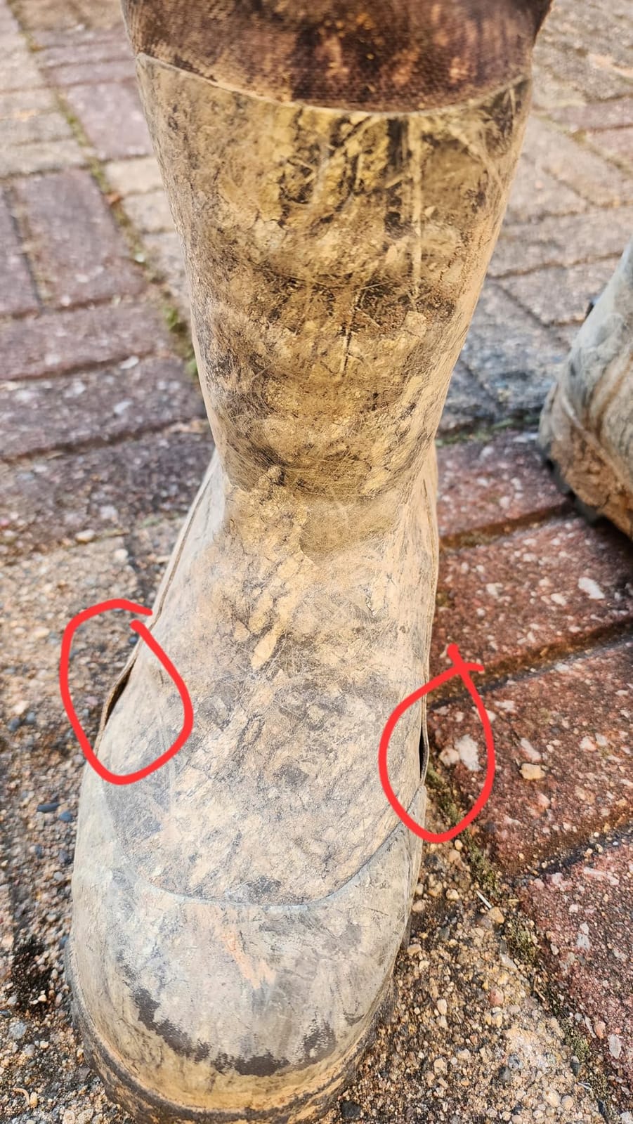 Sport Pro Pull-On Rubber Snake Boot customer photo 2