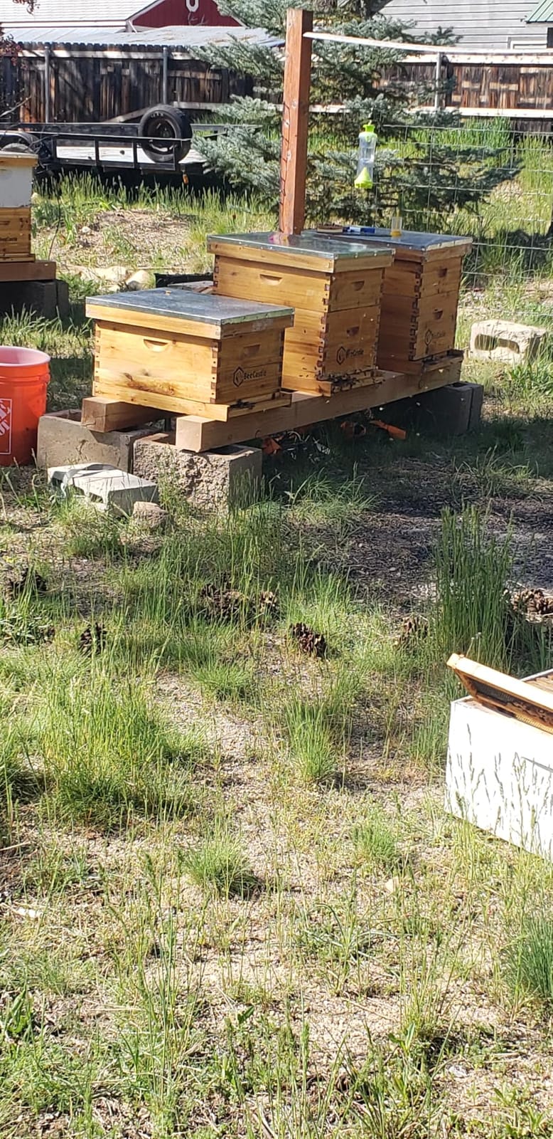 BeeCastle Heavy Wax Coated Unassembled Langstroth Deep/Brood Box with Frames and Beeswax Coated Foundation Sheet (10 Frame) customer photo 1
