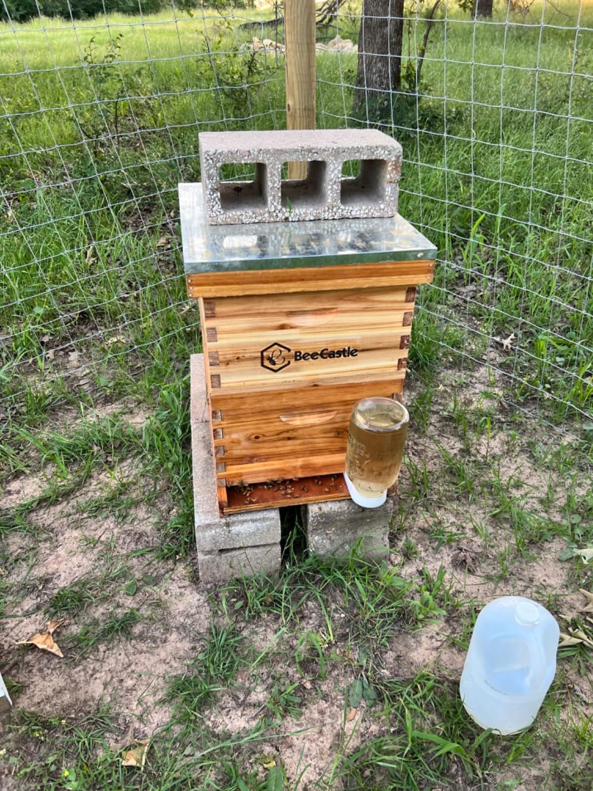 BeeCastle Heavy Wax Coated Unassembled Langstroth Deep/Brood Box with Frames and Beeswax Coated Foundation Sheet (10 Frame) customer photo 2