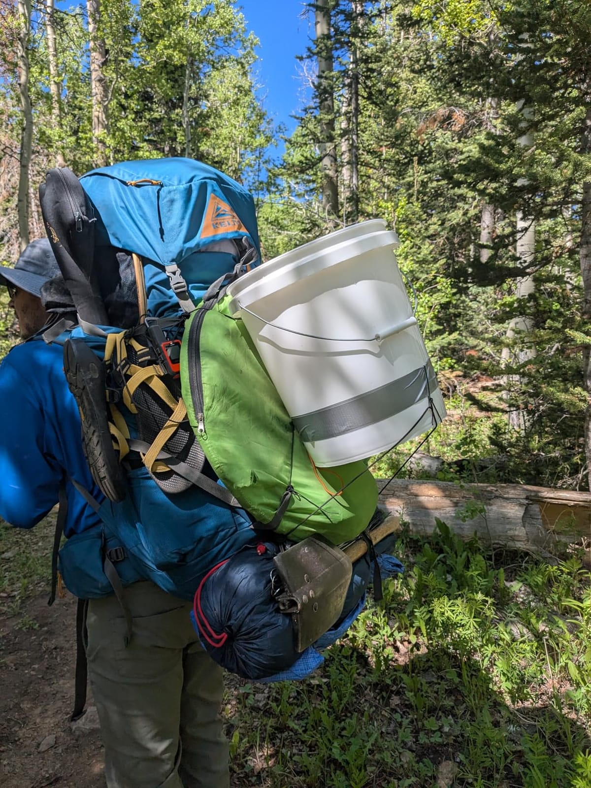 Kelty Coyote 60-105 Liter Internal Frame Backpack - Hiking, Backpacking, Travel, Hydration Compatible, Fully Adjustable (65L / Dark Olive) customer photo 1